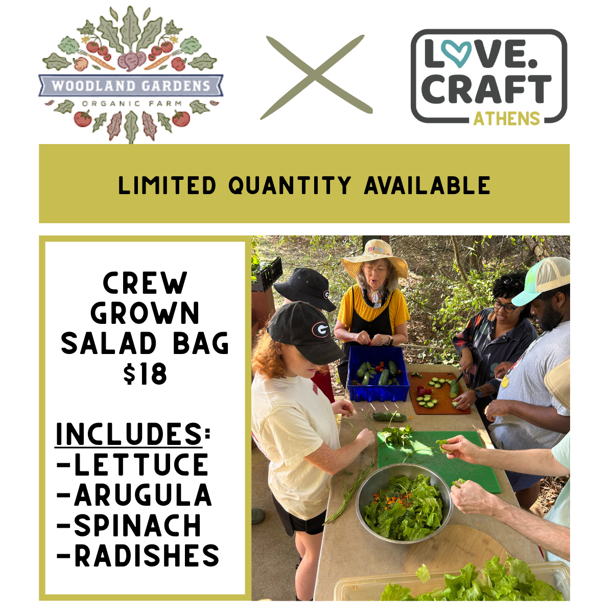 WG veggie box interest.png