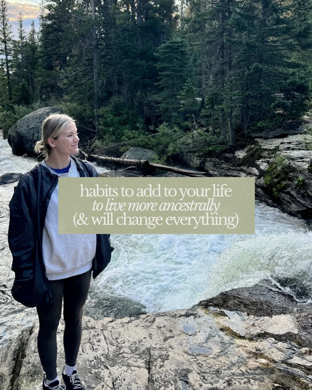 ancestral nourishment in a modern world (but truly this is how we were meant to live all along✨)