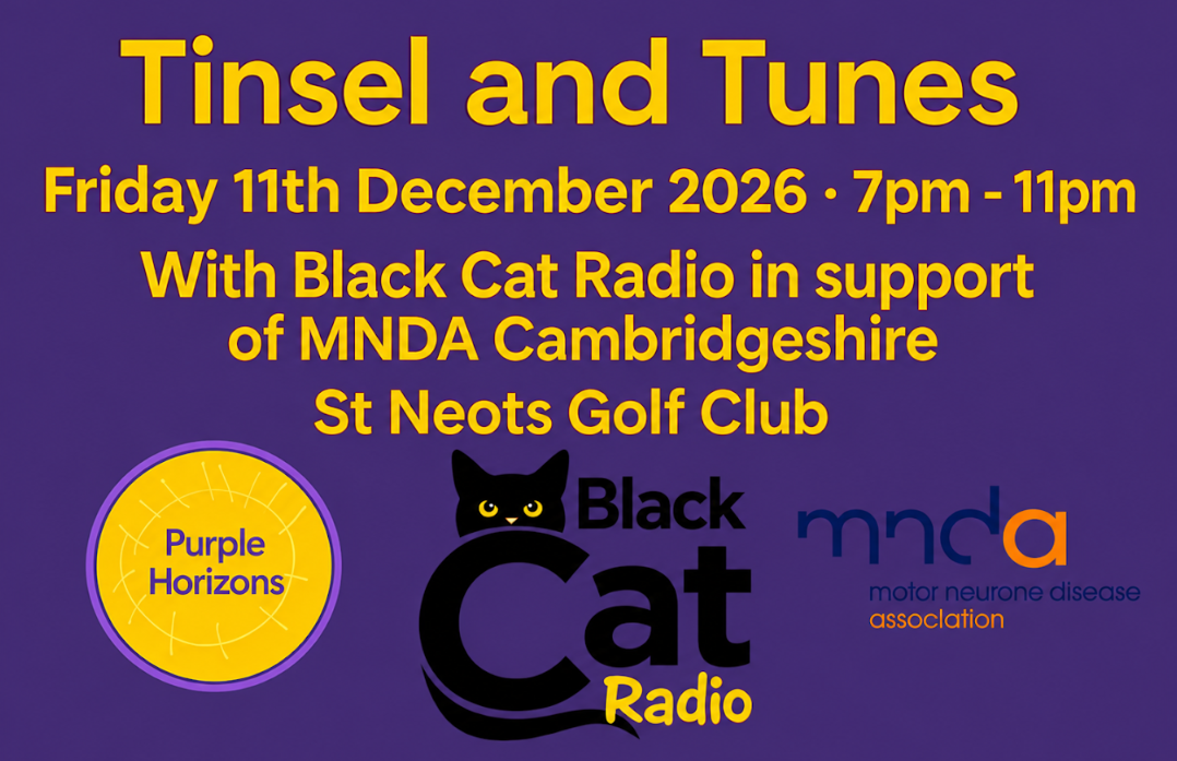 The Christmas Party is BACK! TINSEL &amp; TUNES……… AGAIN! 