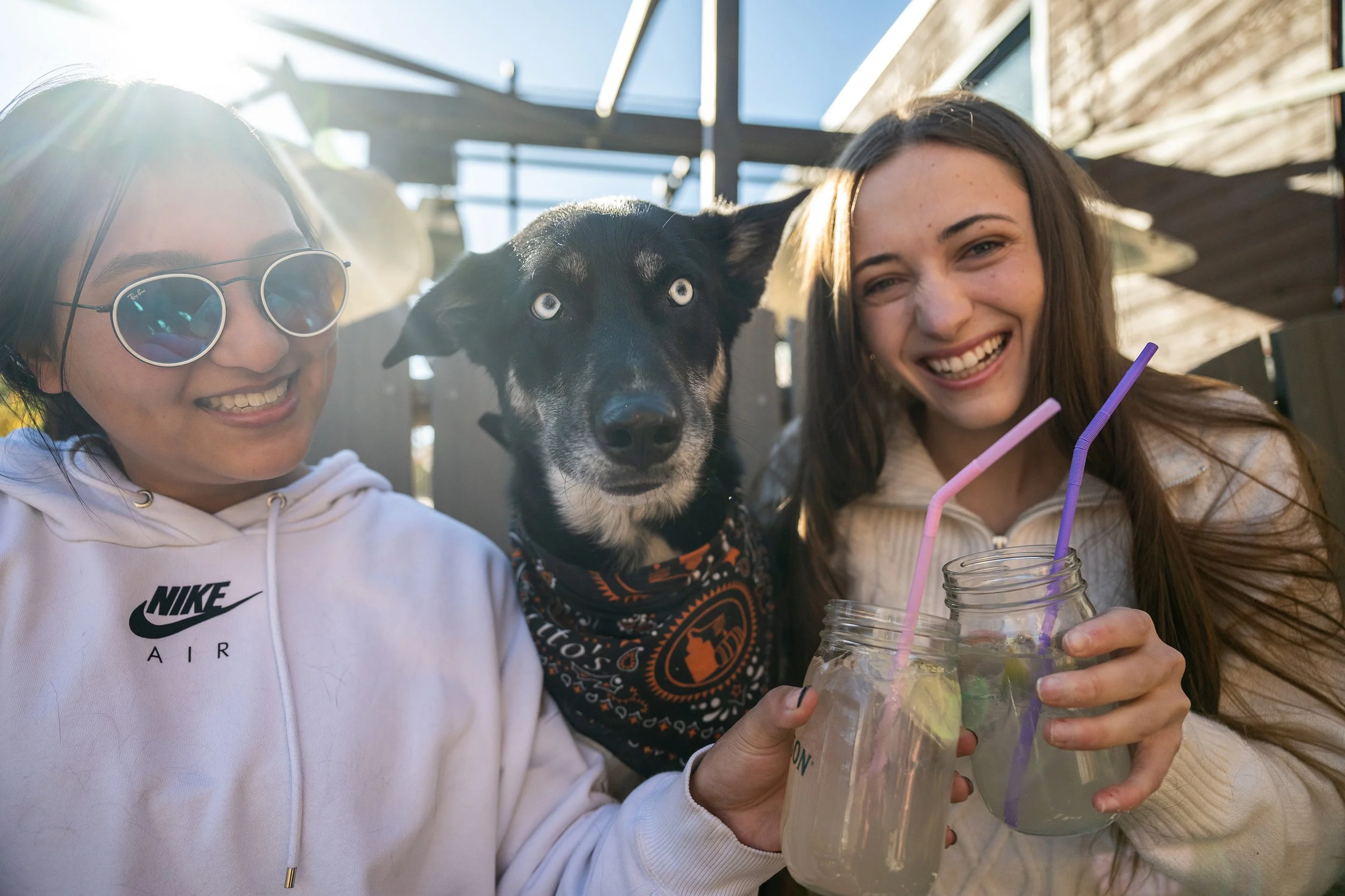 Cheers to our dog. Denver, Colorado. Natural portrait photography.