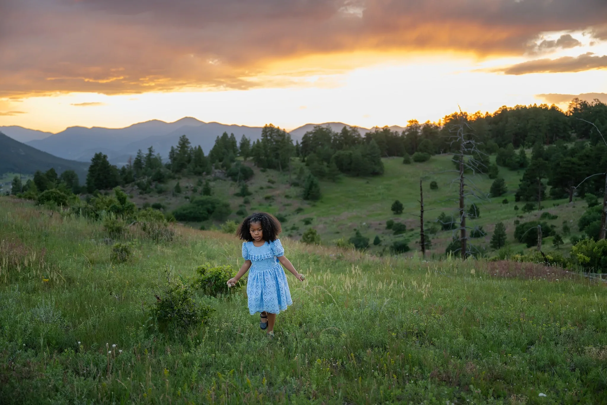 June-27-2025-Oyin-Mount-Falcon-West-Colorado-Family-Photography-Ryan-Kost (25) (1).webp