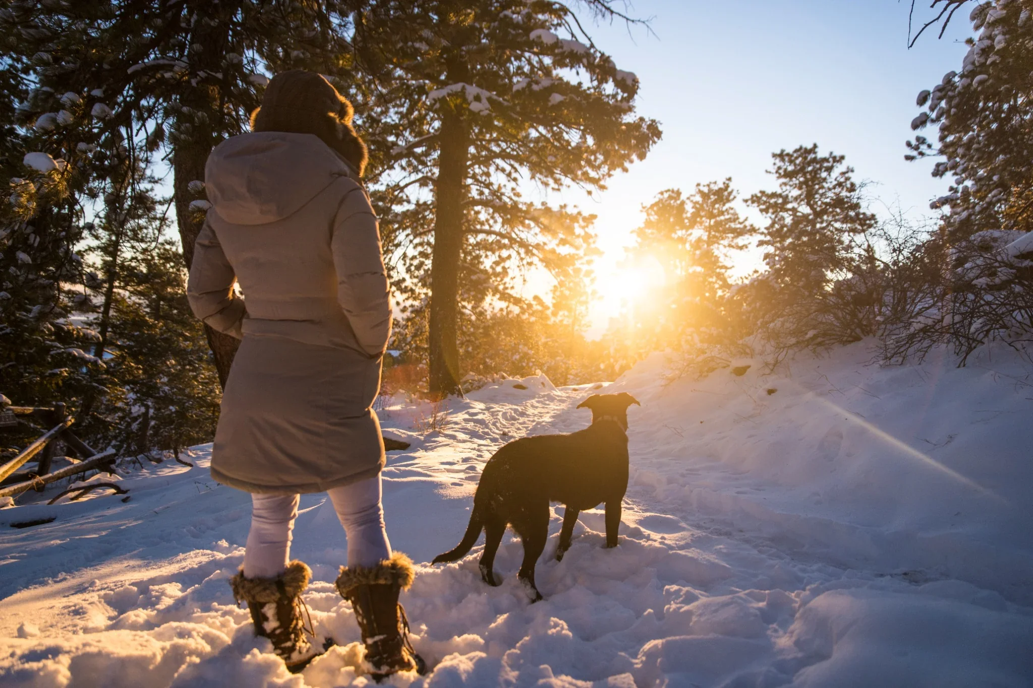 Sunrise winter hiking with dog on Chimney Gulch Trail on Lookout Mountain in Golden, Colorado.
