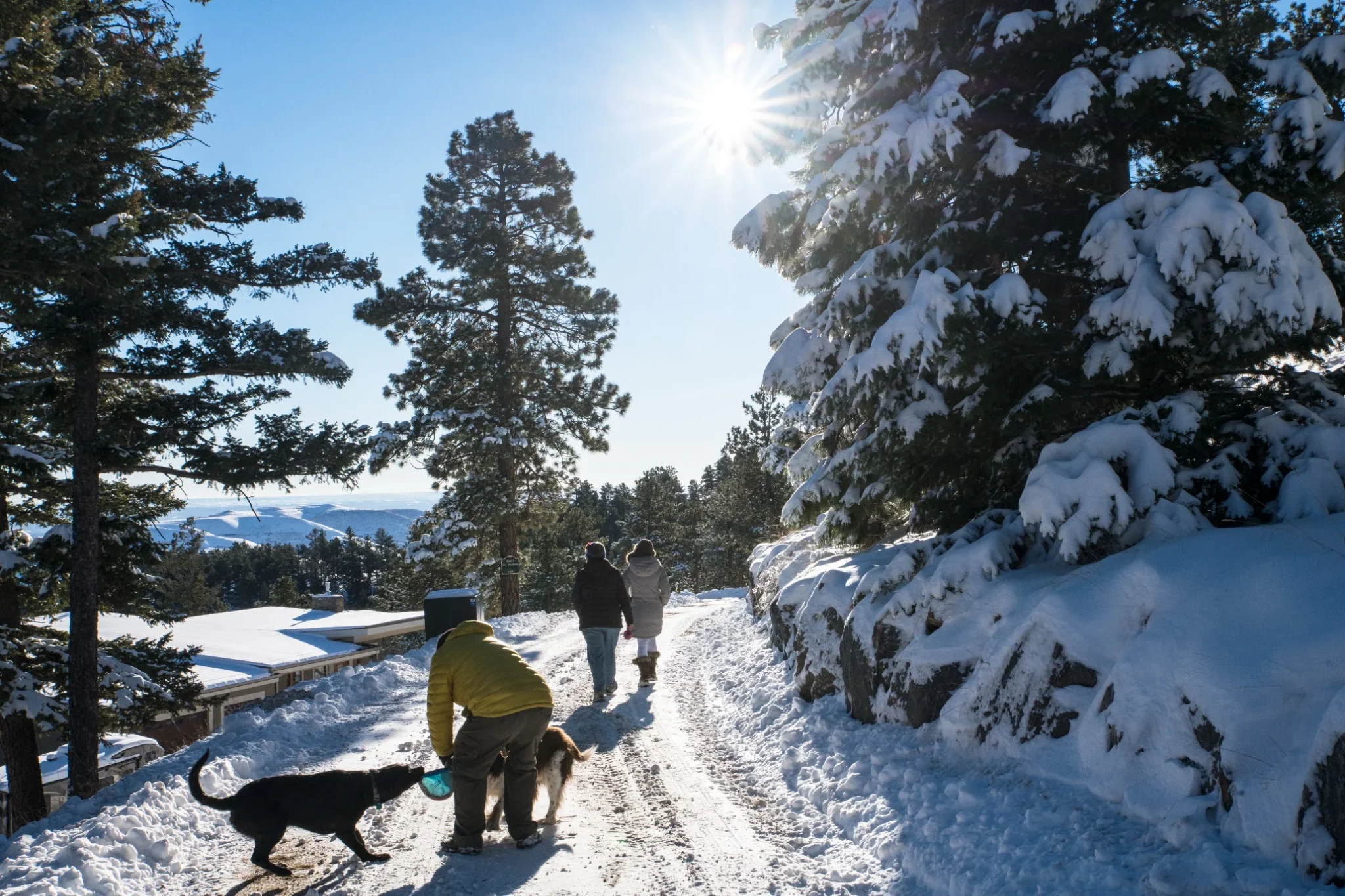 Lookout-Mountain-Golden-Colorado-Photography-Ryan-Kost (10).webp
