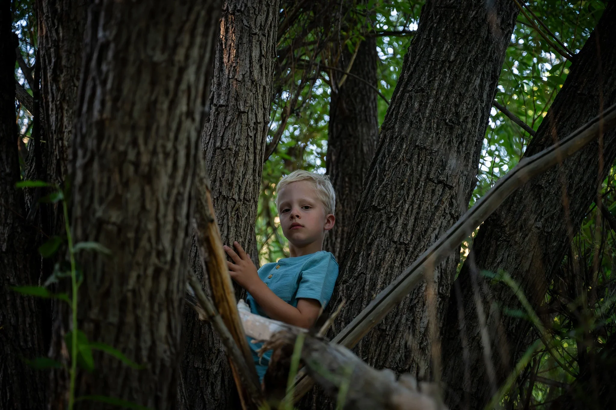 Logan Family Photos Lair o The Bear August 3 2025 (117).webp