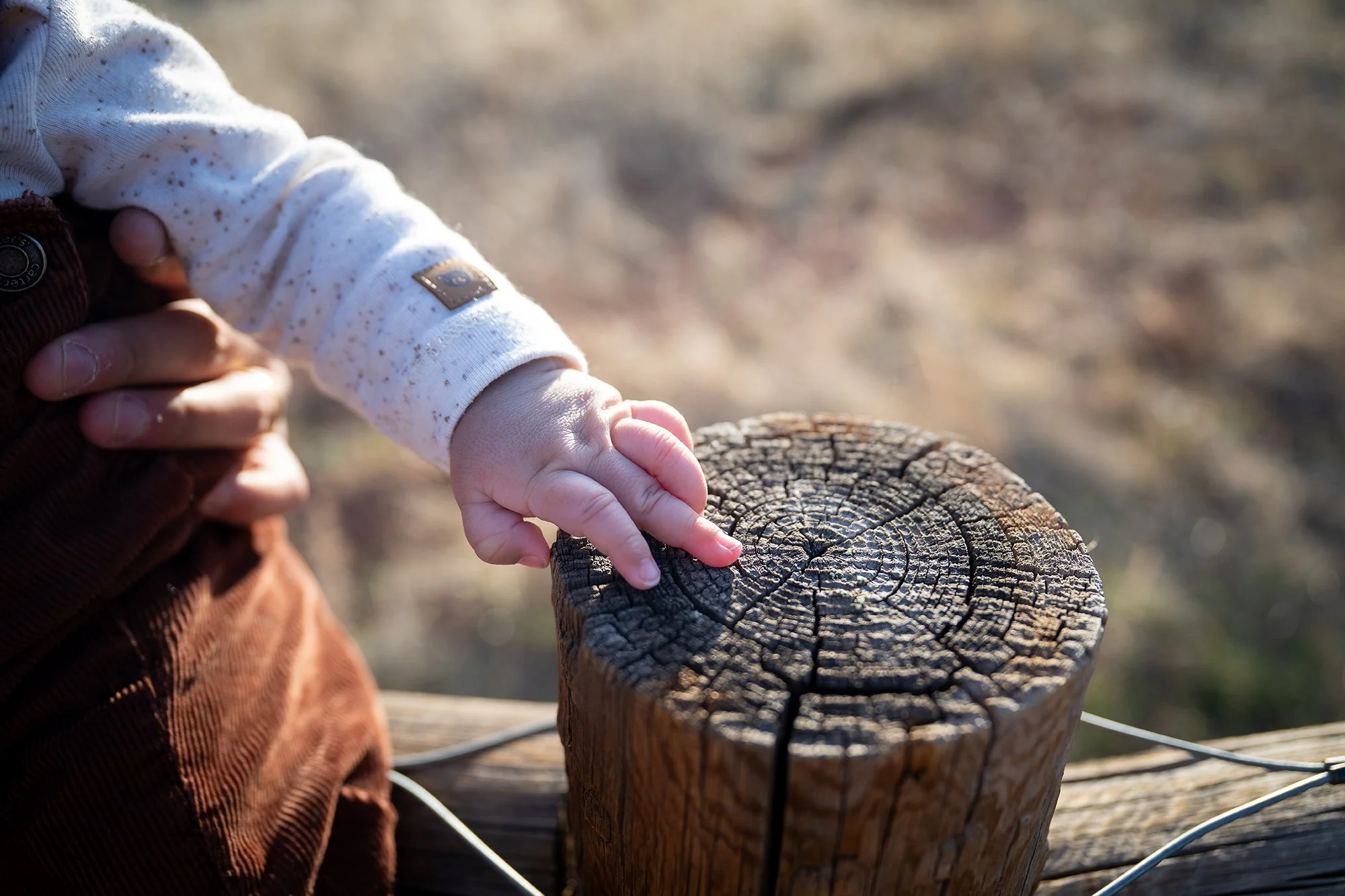 Adriana-Gustavo-Family-South-Valley-Park-Littleton-Colorado-Ryan-Kost-Photography-November-9-2025 (3).jpg