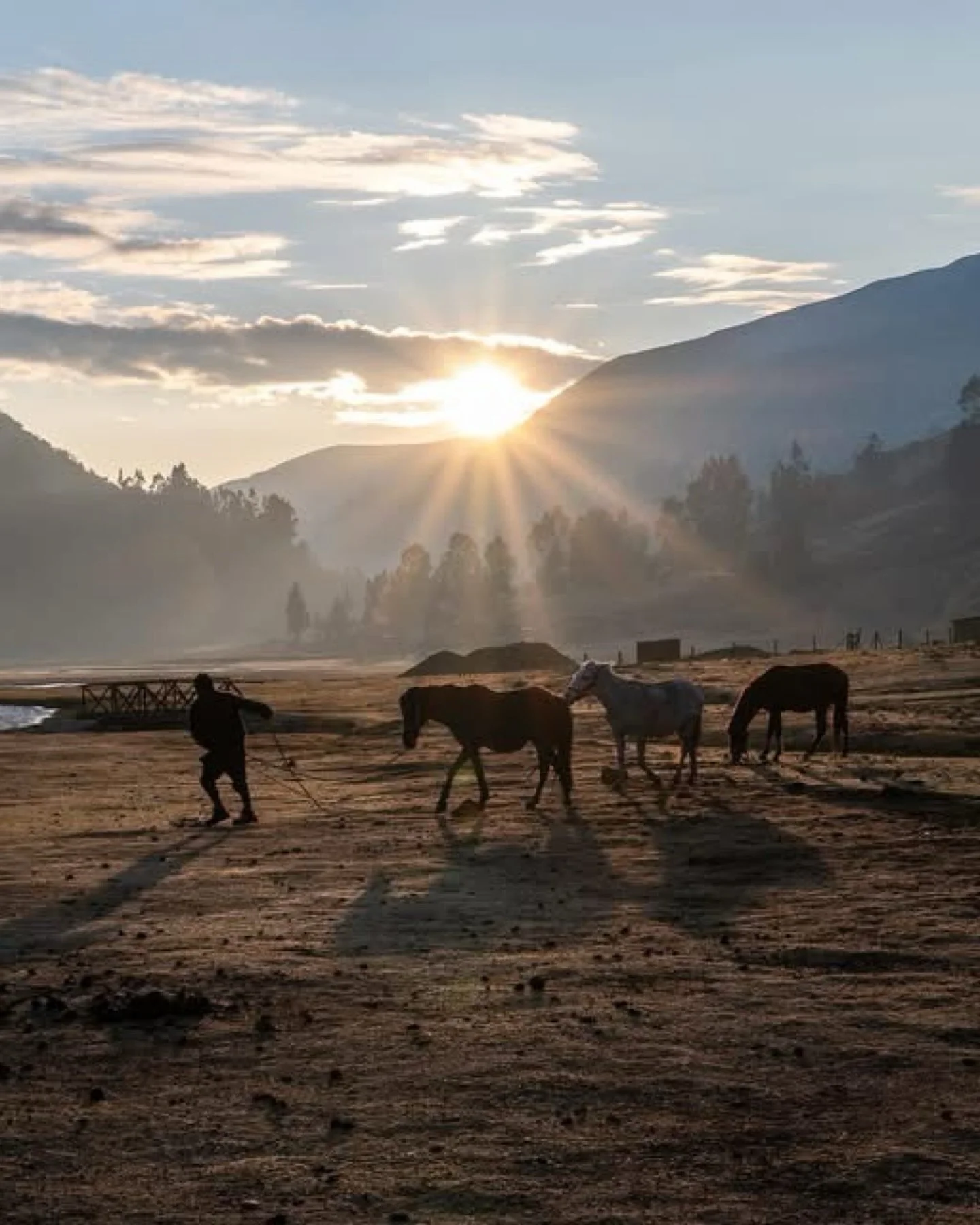 They were lying on their sides in the grass beside their pack animals as they grazed. I felt a strong sense of discomfort from them, or maybe it was my own projections.

Nearby, guests mingled around the pool with colorful drinks. White colonial wall
