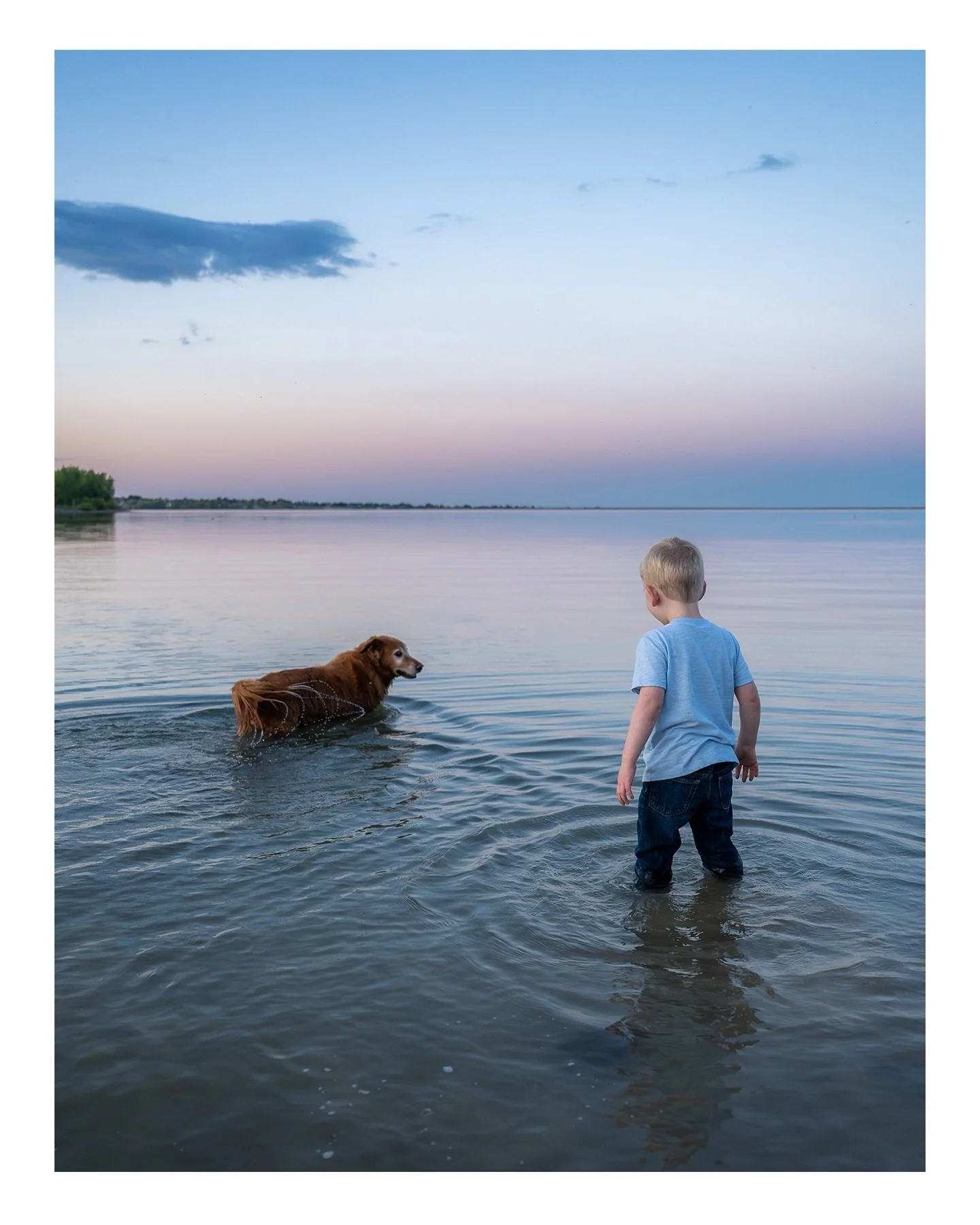 The incomparable bond between dogs and their humans. 

I&rsquo;d be honored to capture some beautiful memories of you with your furry companion.

#coloradodogs #coloradodogsofinstagram #dogsarethebest #mansbestfriend #dogslovers @dogsofinstagram @doc