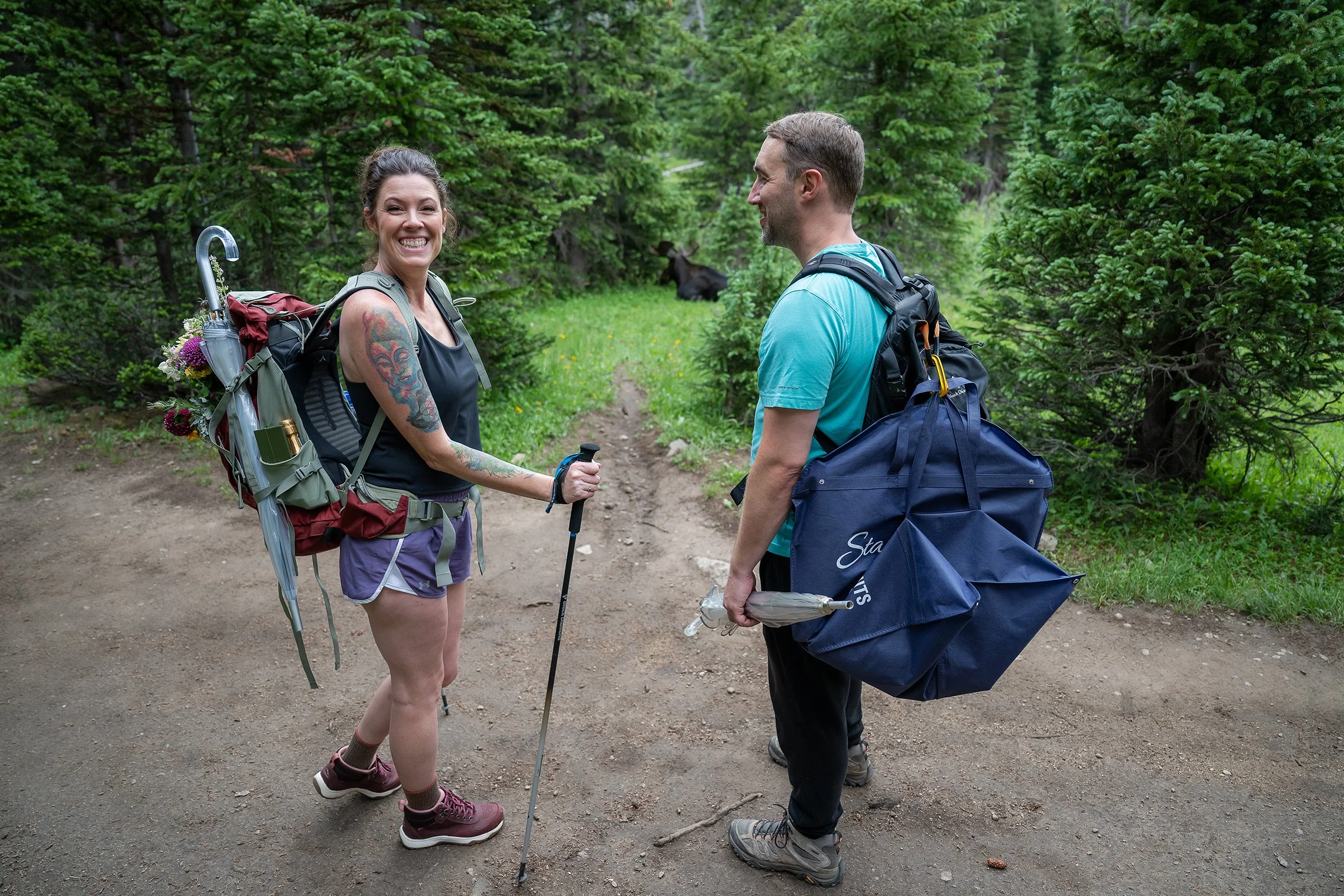 Hiking adventure at Lake Isabelle in Indian Peaks Colorado. Wildlife sighting at couple sees a bull moose laying in the meadow on the hike up to the lake.