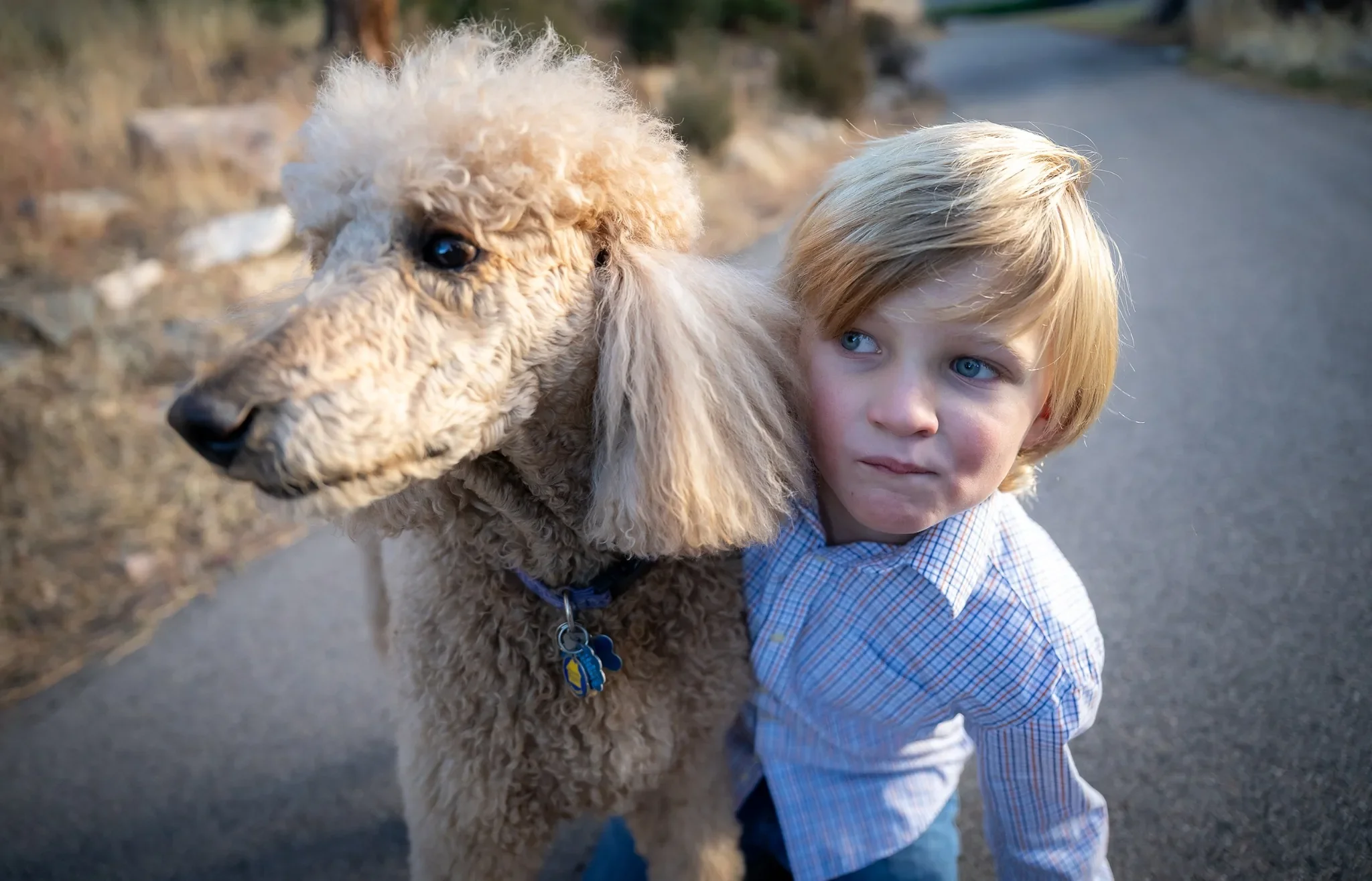 Close-up portrait of a child and dog during a relaxed Colorado family photography session in Indian Hills.