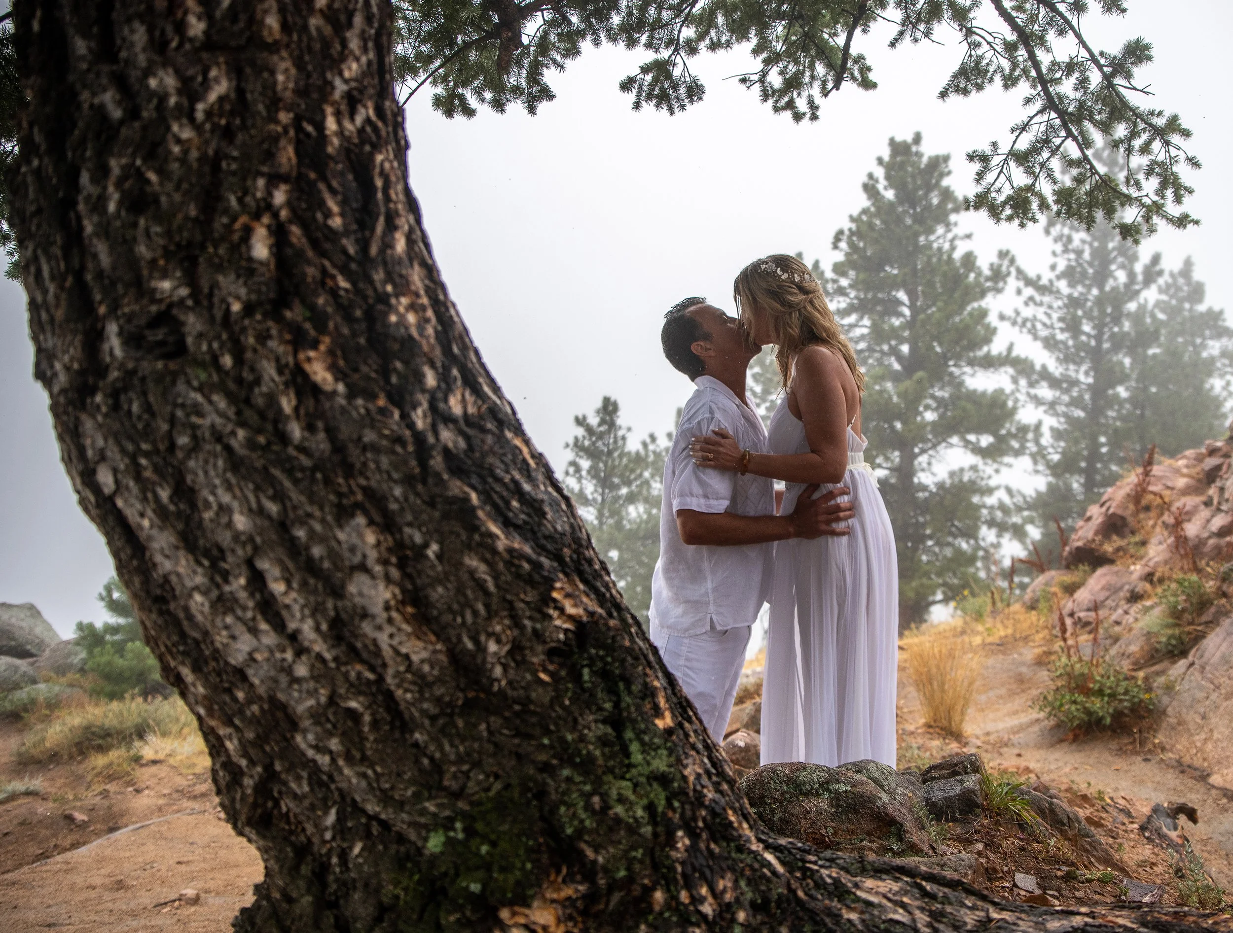 A couple sharing a kiss outdoors in a natural, forested setting with trees and rocks, seen through a large tree trunk.
