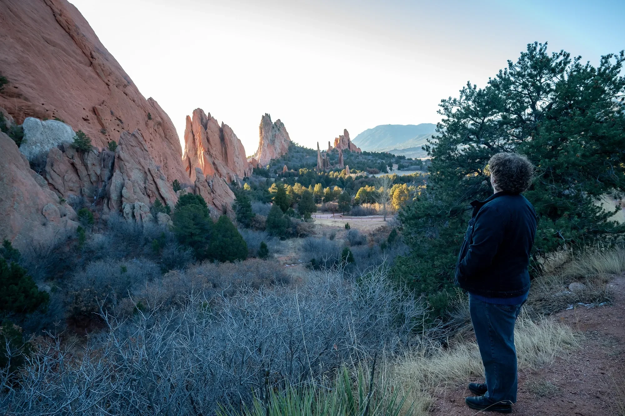 A man with curly hair wearing a dark jacket standing beside a tree and looking at a mountainous landscape with red rock formations and green trees during daytime.
