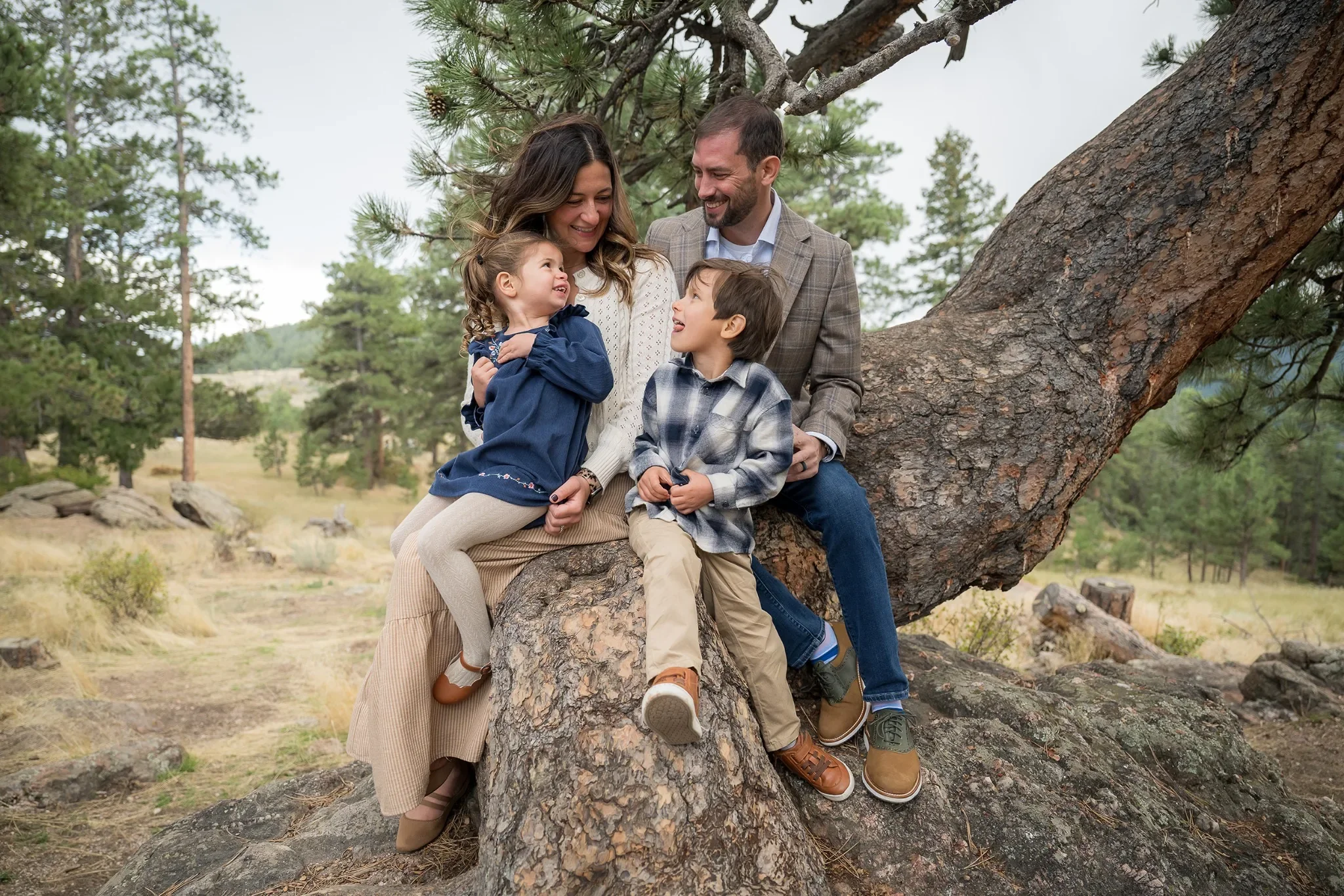 A joyful & loving family outdoor portrait sitting together on a tree stump at Mount Falcon West in the Denver foothills. Ryan Kost Photography.