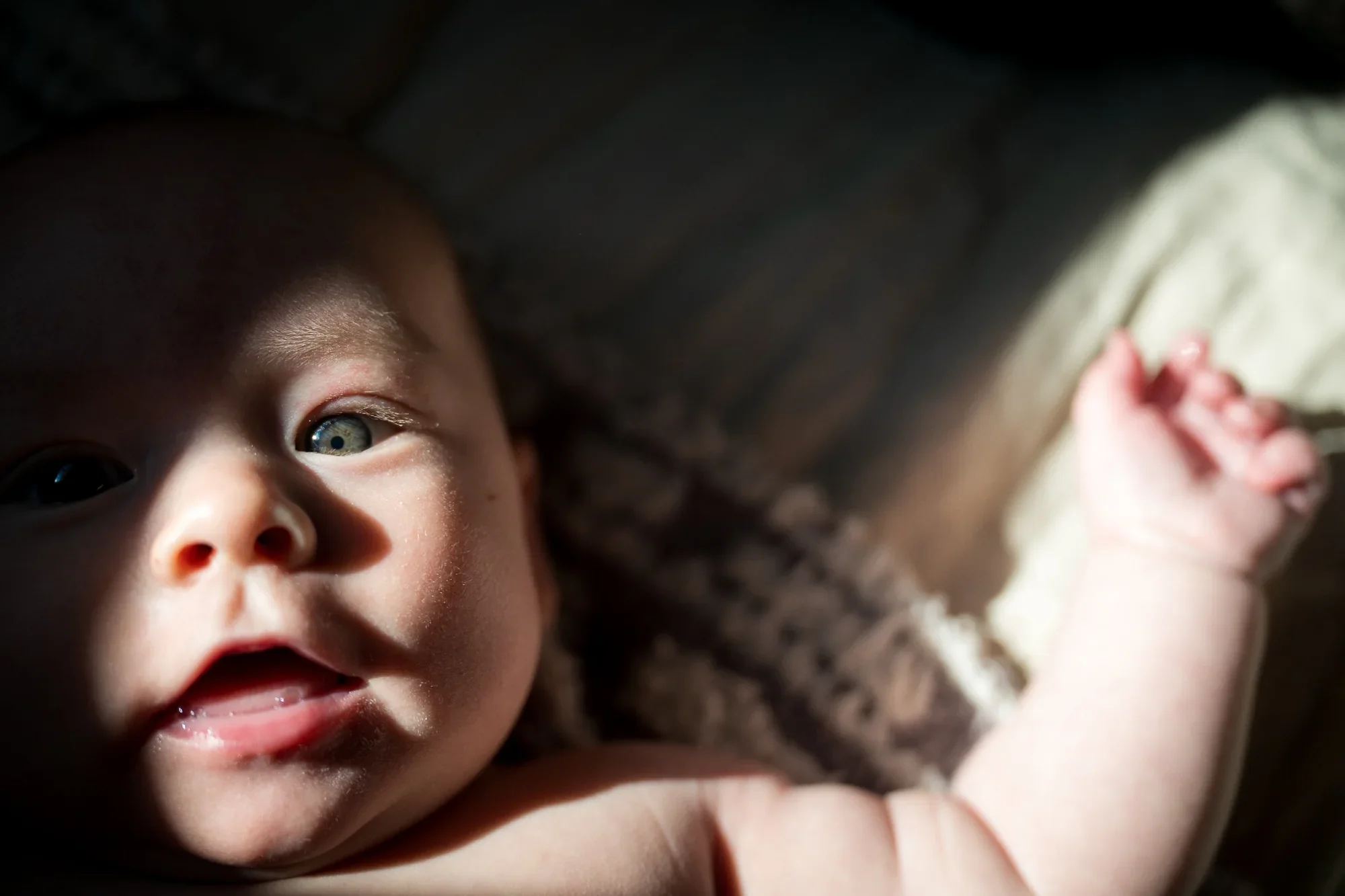 Newborn baby portrait in warm window light at home in Arvada, Colorado.