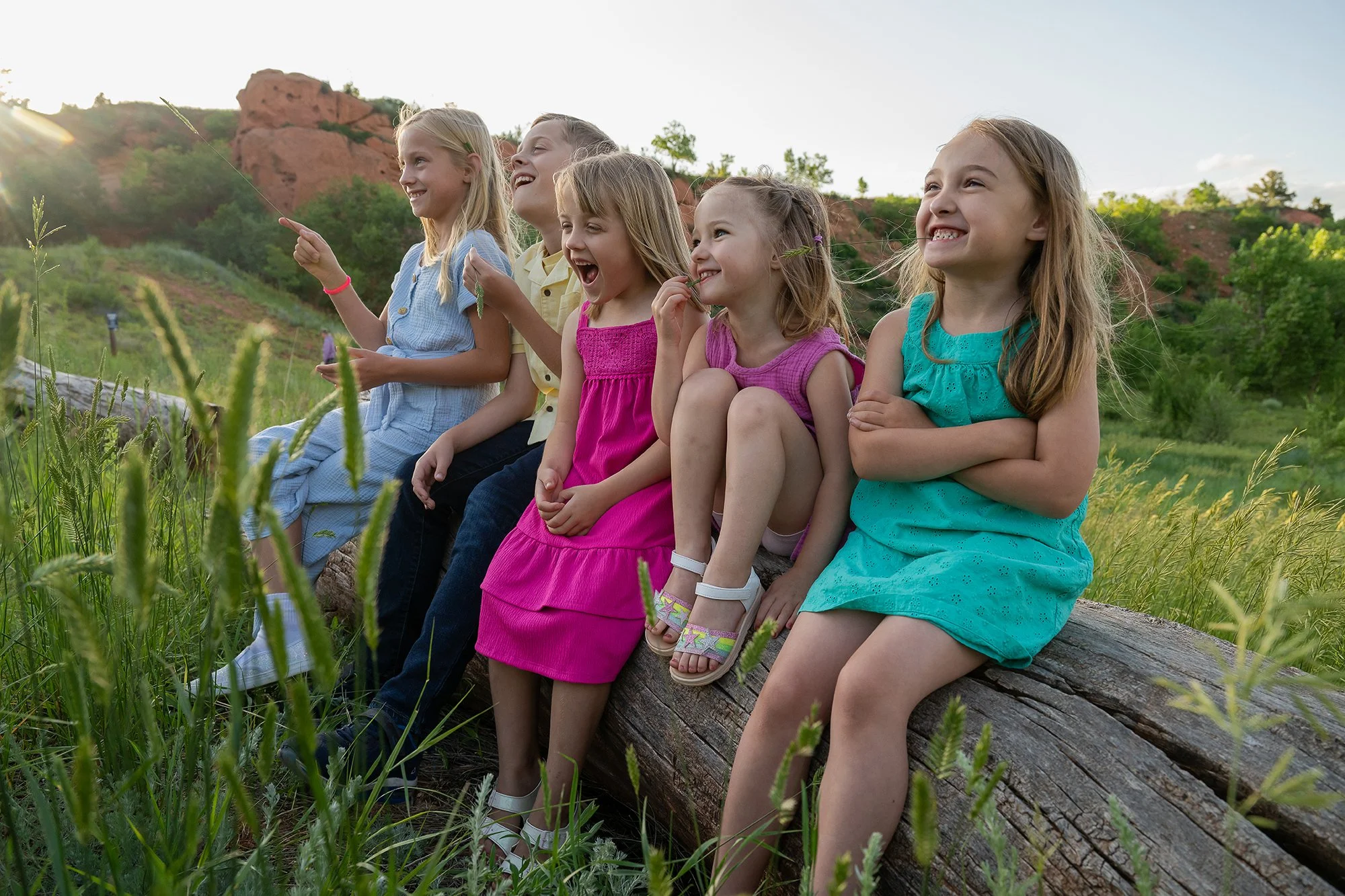 Smiling group of children sitting on a log in tall summer grass at Red Rock Canyon Open Space in Colorado Springs during golden hour, captured by Ryan Kost Photography