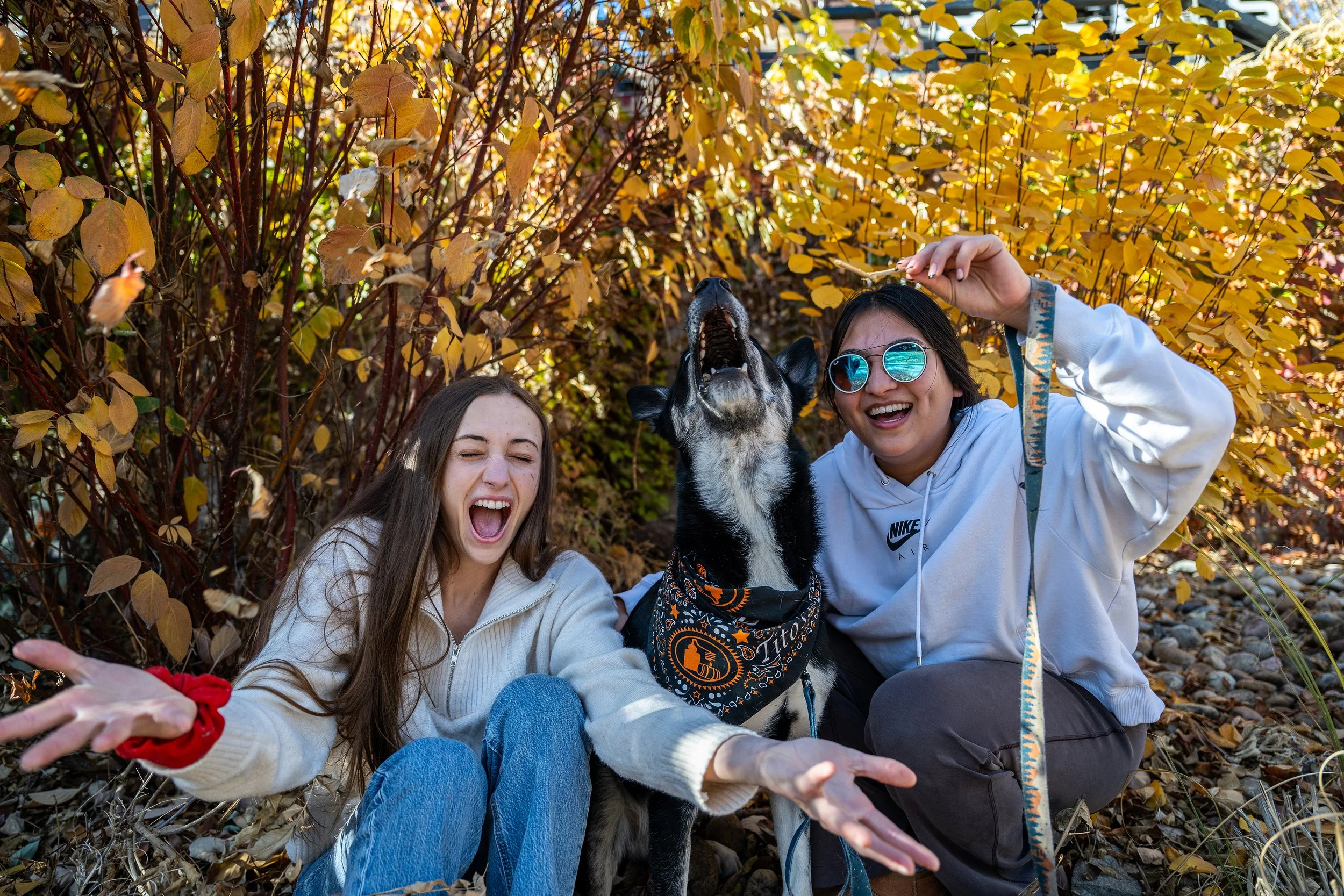 Fall pet portrait photography. Dog howling with his people. Denver, Colorado