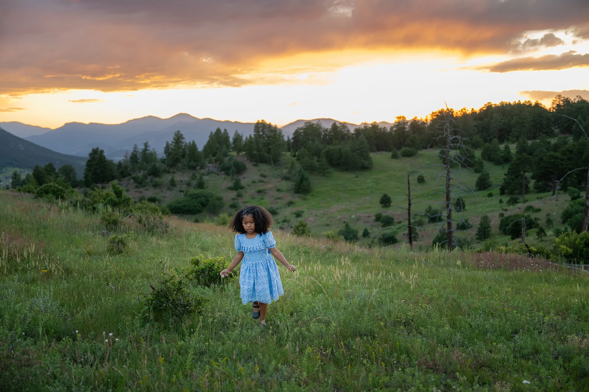 A young girl in a blue dress wanders through a summer mountain meadow looking at wildflowers under an incredibly beautiful sunset sky. Natural, candid Colorado family photography captured by Ryan Kost