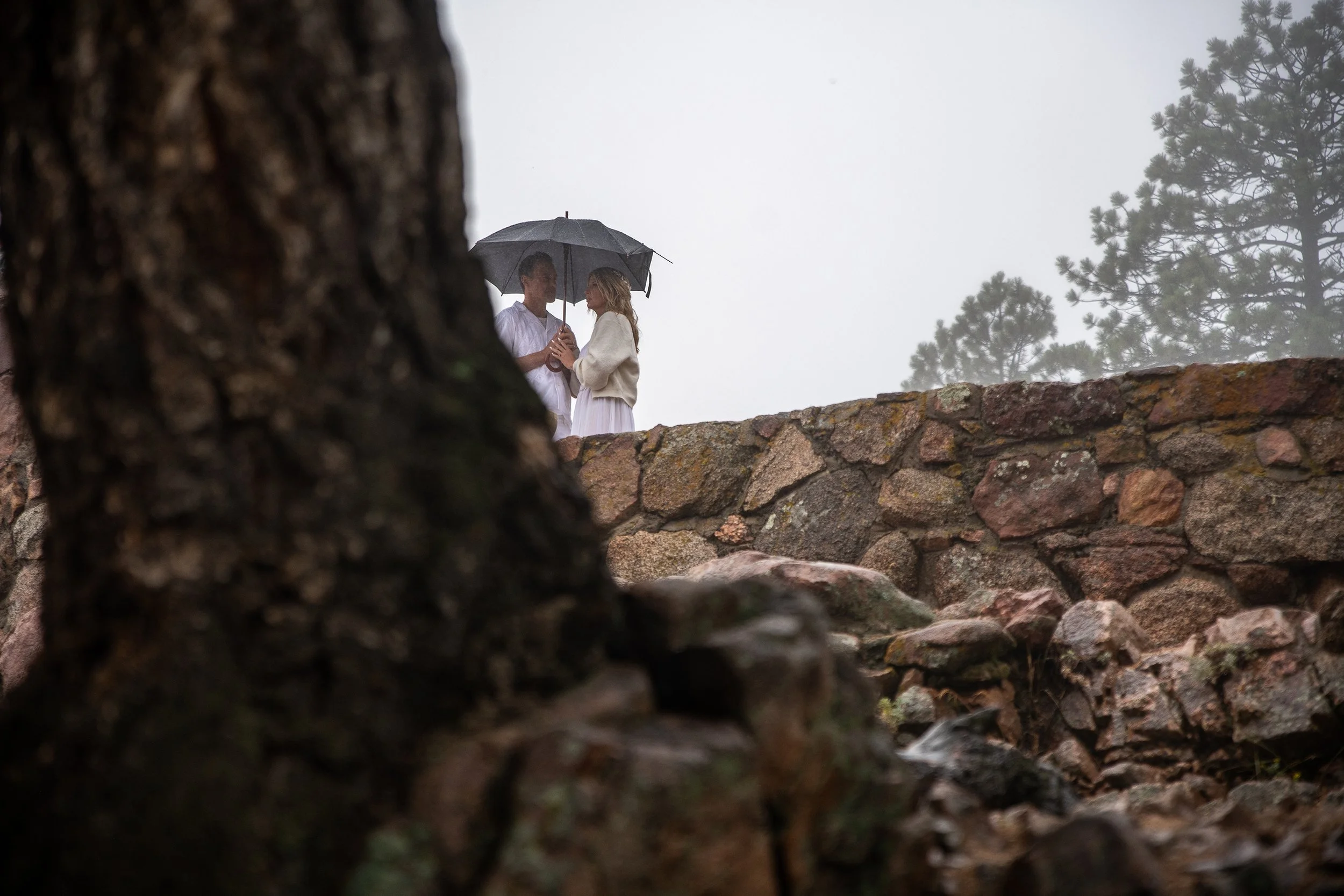 A couple standing on a stone wall under an umbrella, holding hands, with trees in the background, viewed through a tree trunk in the foreground on a rainy day.