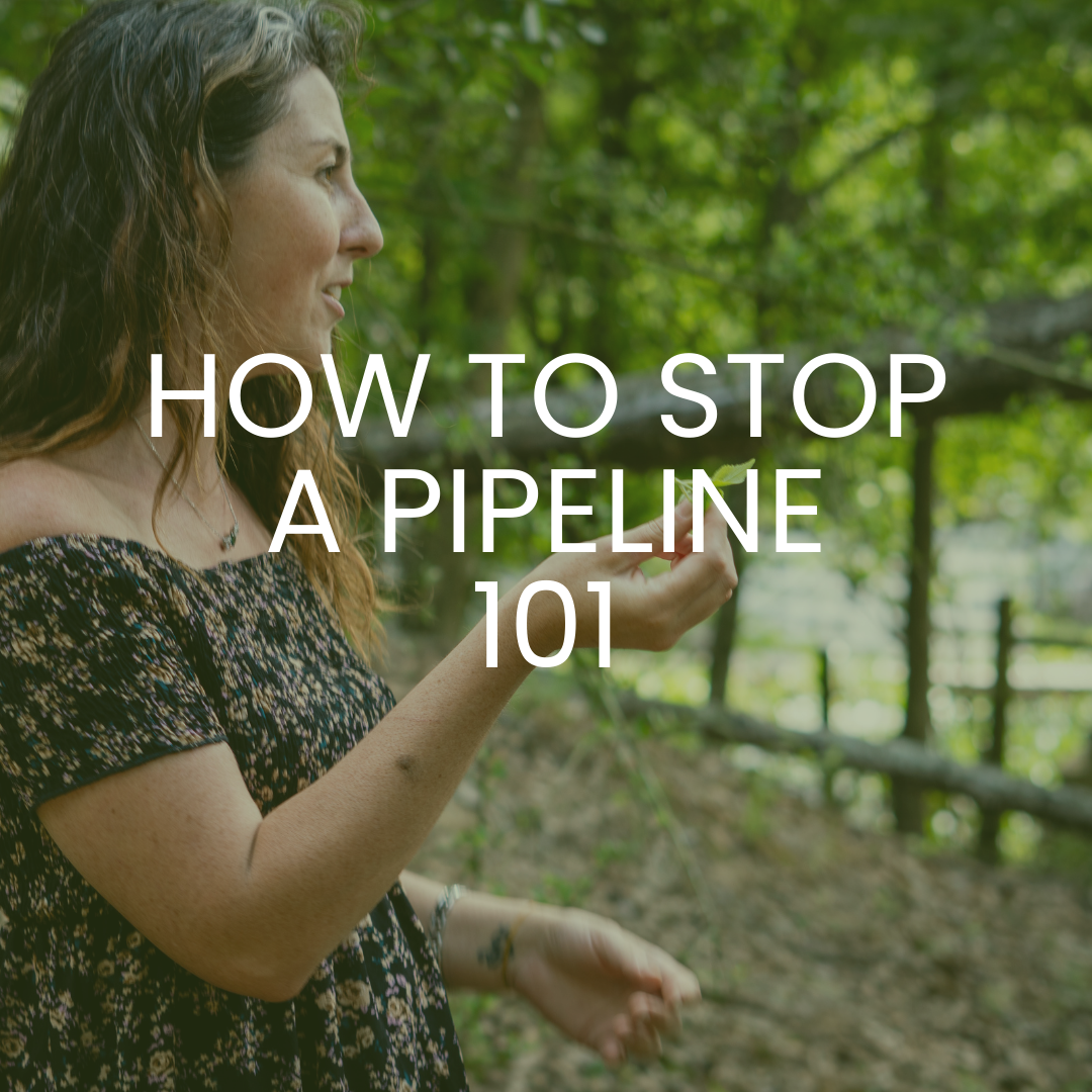 How to Stop a Pipeline
