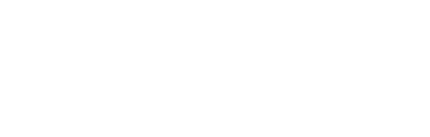 Visionary Organizing Lab 