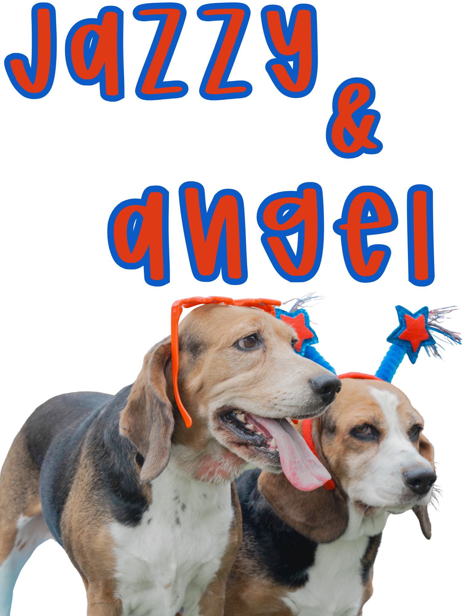 5 years old; fixed females, beagles