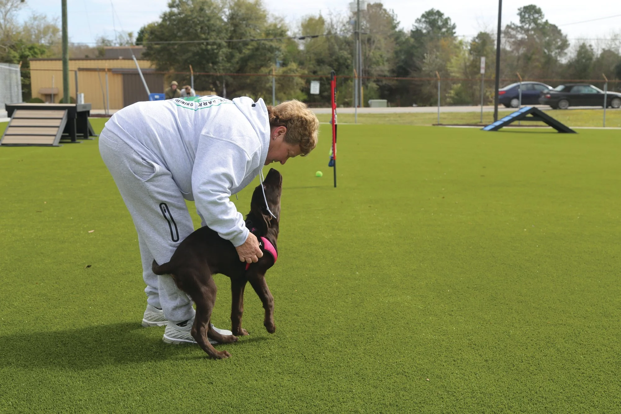 20210322-190119-SPCAdogpark5_78869.jpeg
