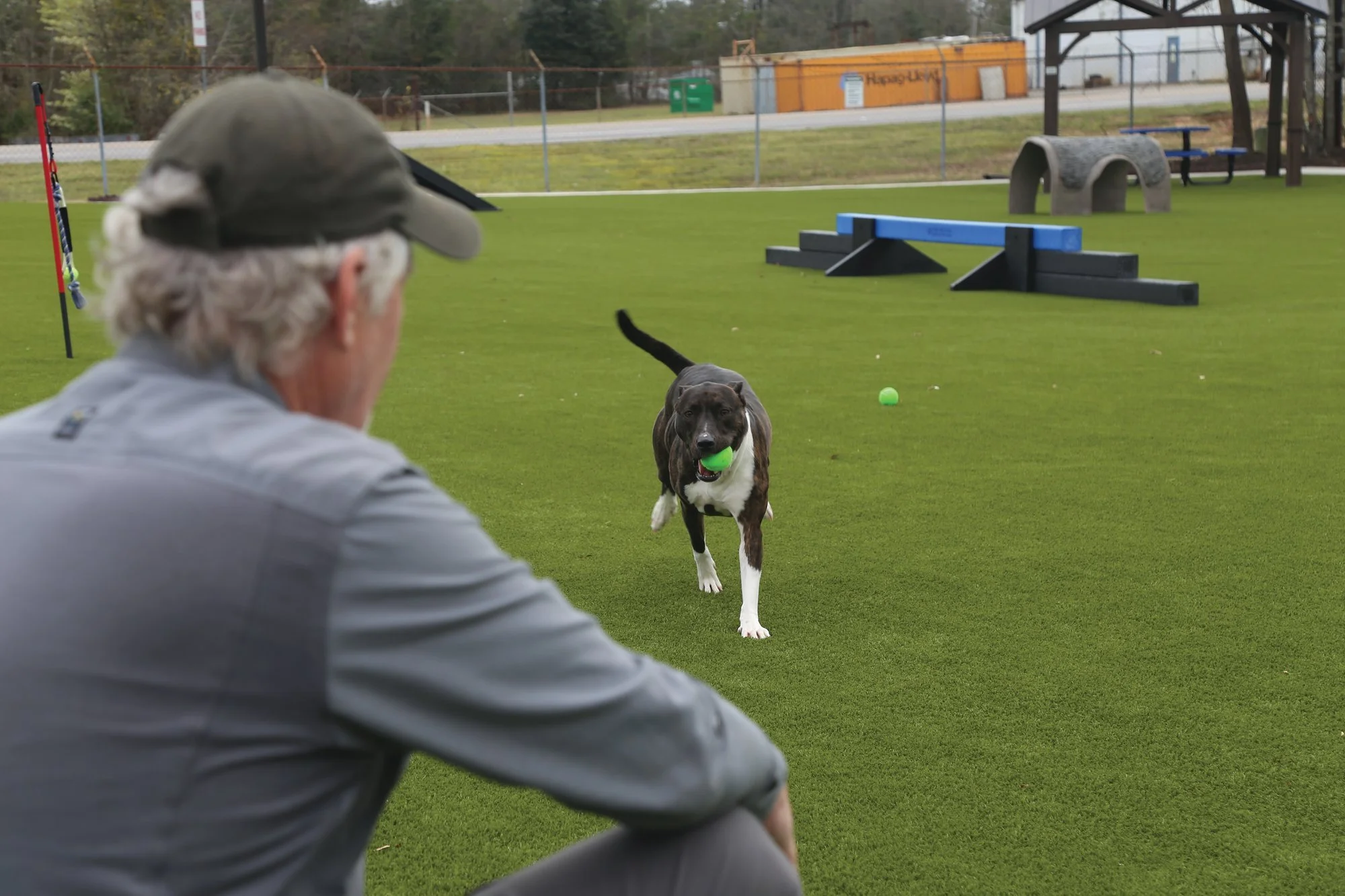 20210322-190146-SPCAdogpark10_79033.jpeg