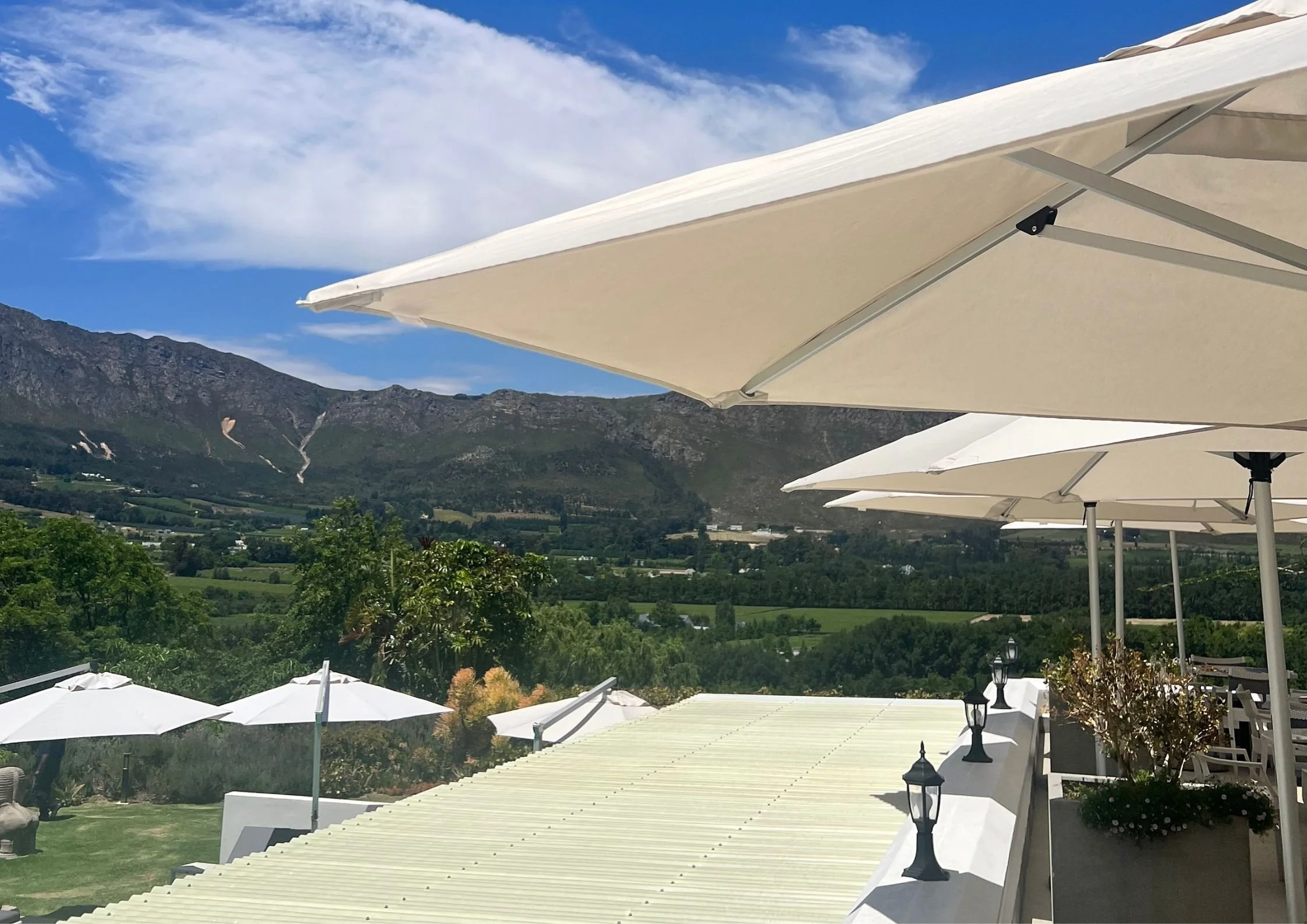 Cape Town, November 2023 - 

staying at Sir Richard Branson’s vineyard in the Cape Town wine region. 