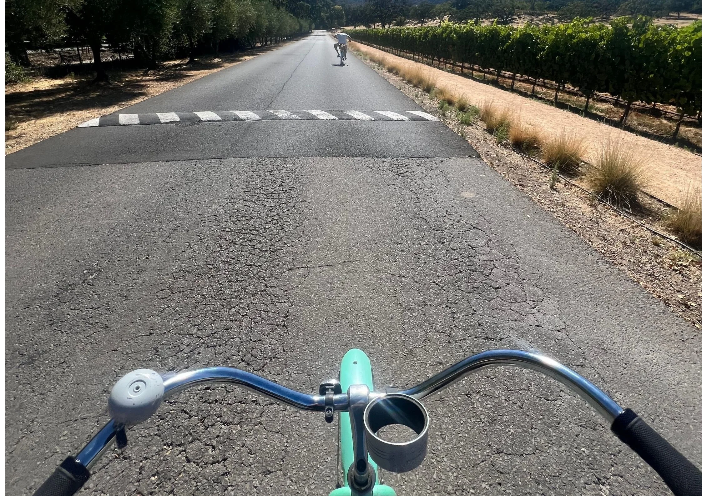 Napa Valley, August 2025 - 

visiting the Napa Valley wine region.