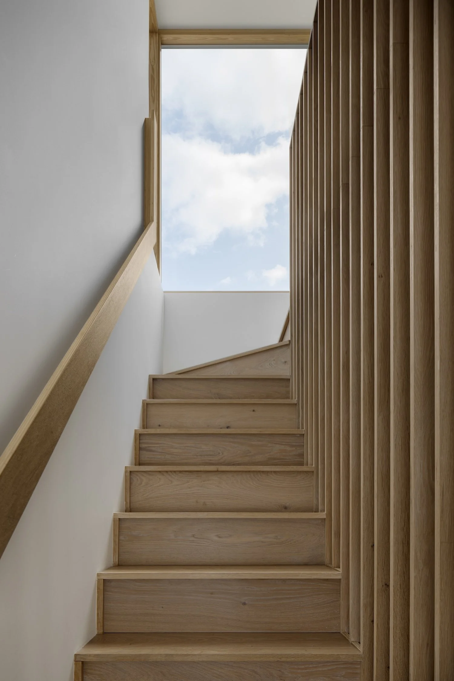 David Money Architects House on the Hill Adam Letch 08jpg.jpg