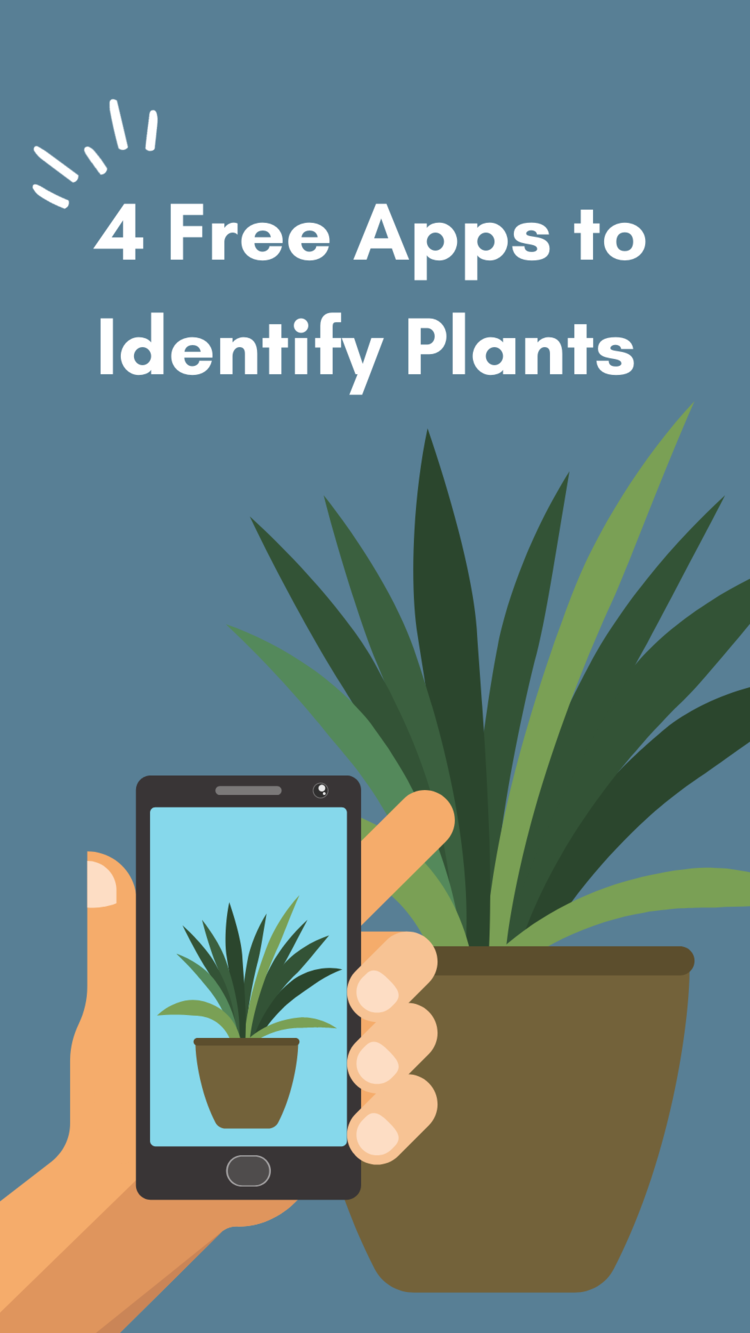 Plant+Apps+Reel.png