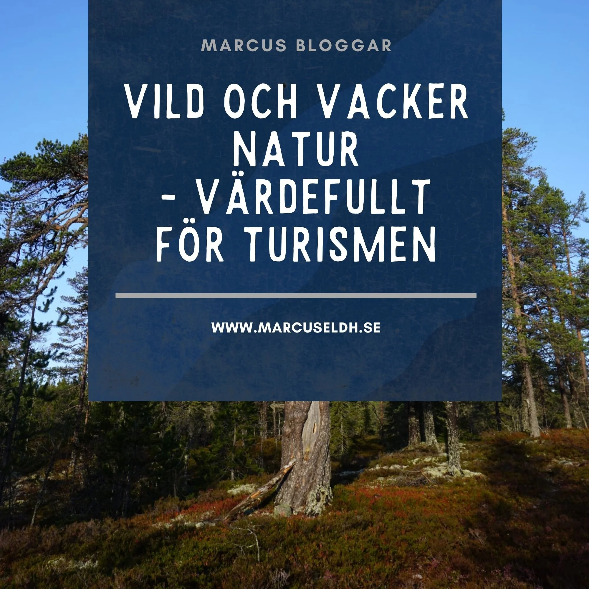 Vild och vacker natur - värdefullt för turismen