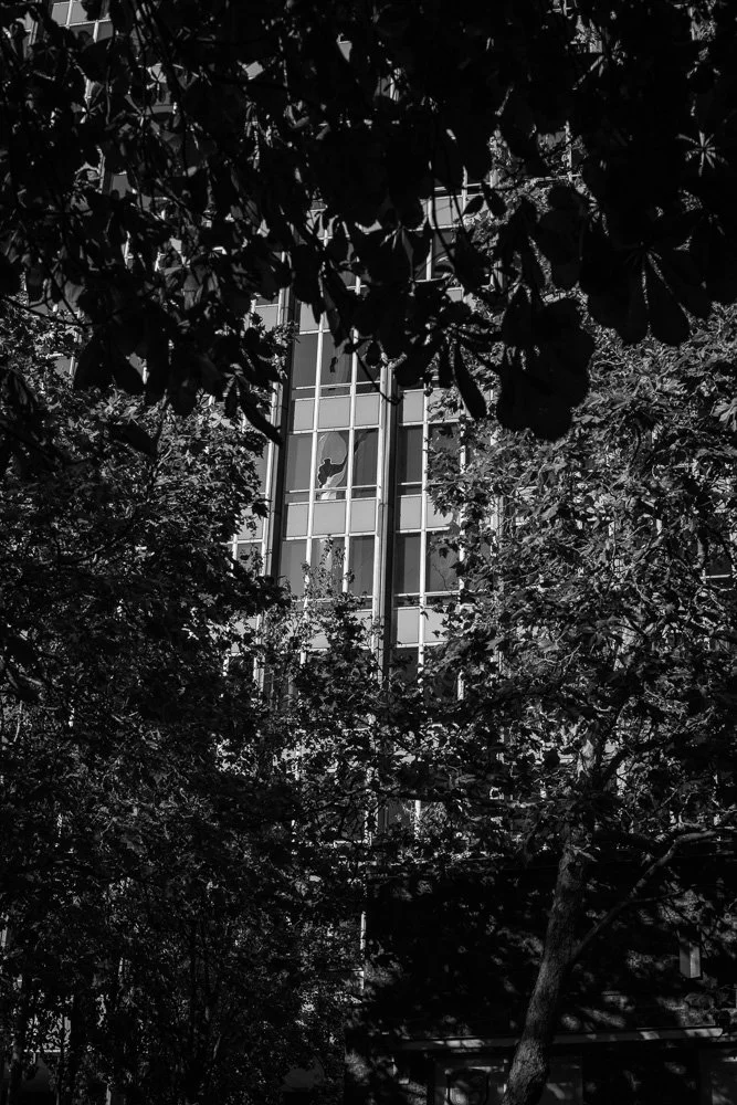 BREEZE CANADA BC STANISLAS LEDOUX 2026 PHOTOGRAPHIE NOIR ET BLANC