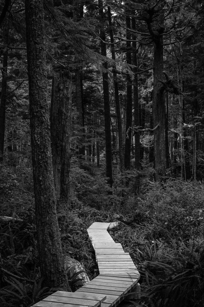 BREEZE CANADA BC STANISLAS LEDOUX 2026 PHOTOGRAPHIE NOIR ET BLANC
