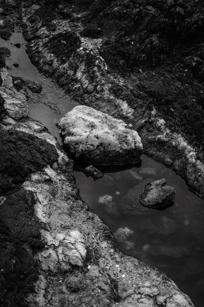 BREEZE CANADA BC STANISLAS LEDOUX 2026 PHOTOGRAPHIE NOIR ET BLANC
