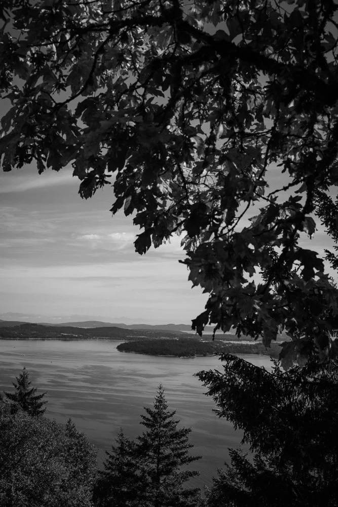BREEZE CANADA BC STANISLAS LEDOUX 2026 PHOTOGRAPHIE NOIR ET BLANC