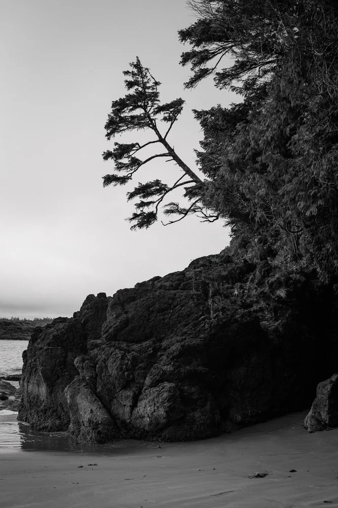 BREEZE CANADA BC STANISLAS LEDOUX 2026 PHOTOGRAPHIE NOIR ET BLANC