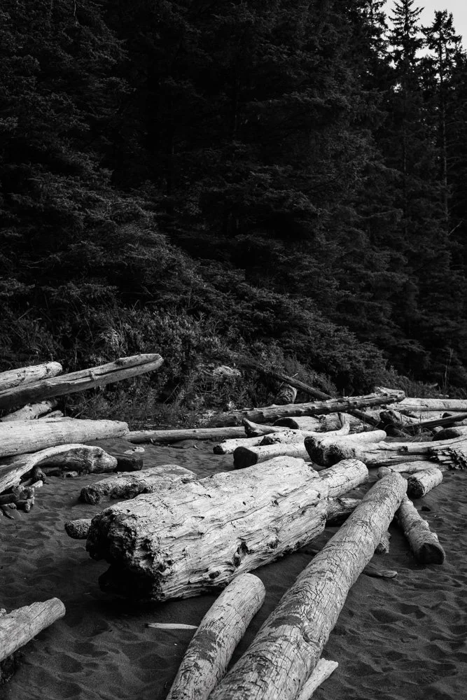 BREEZE CANADA BC STANISLAS LEDOUX 2026 PHOTOGRAPHIE NOIR ET BLANC