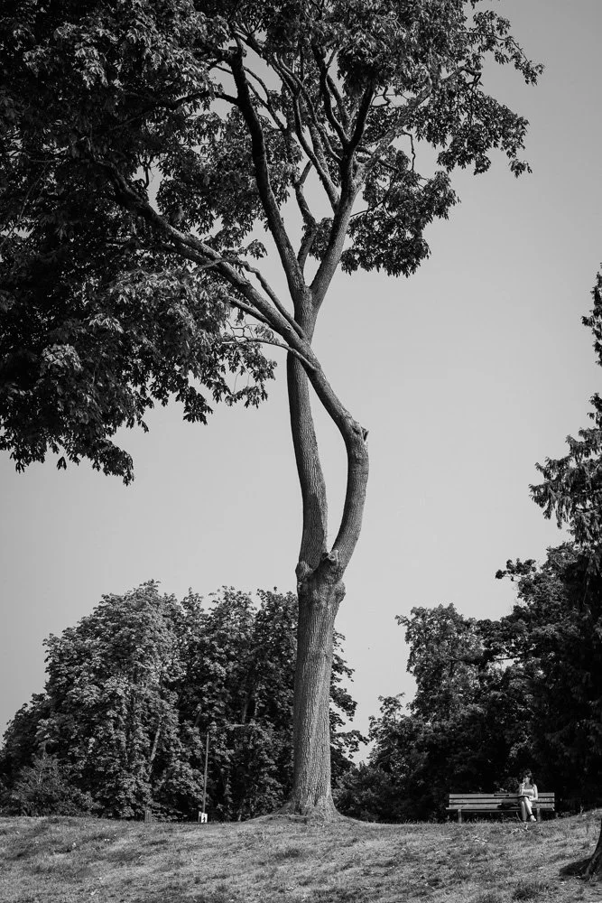 BREEZE CANADA BC STANISLAS LEDOUX 2026 PHOTOGRAPHIE NOIR ET BLANC