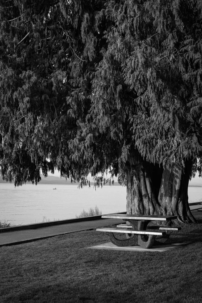 BREEZE CANADA BC STANISLAS LEDOUX 2026 PHOTOGRAPHIE NOIR ET BLANC