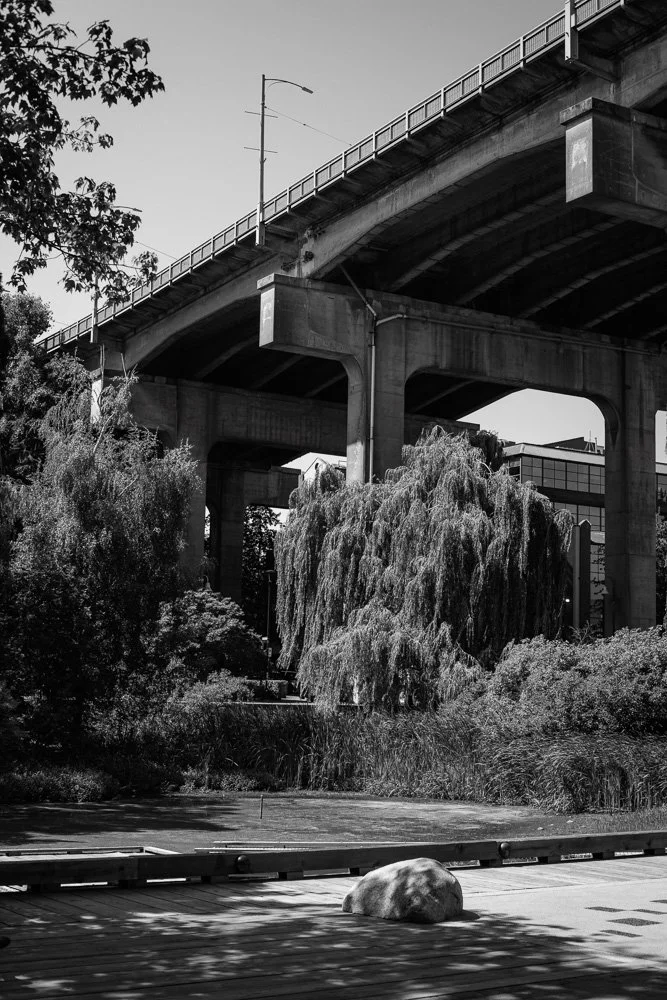 BREEZE CANADA BC STANISLAS LEDOUX 2026 PHOTOGRAPHIE NOIR ET BLANC