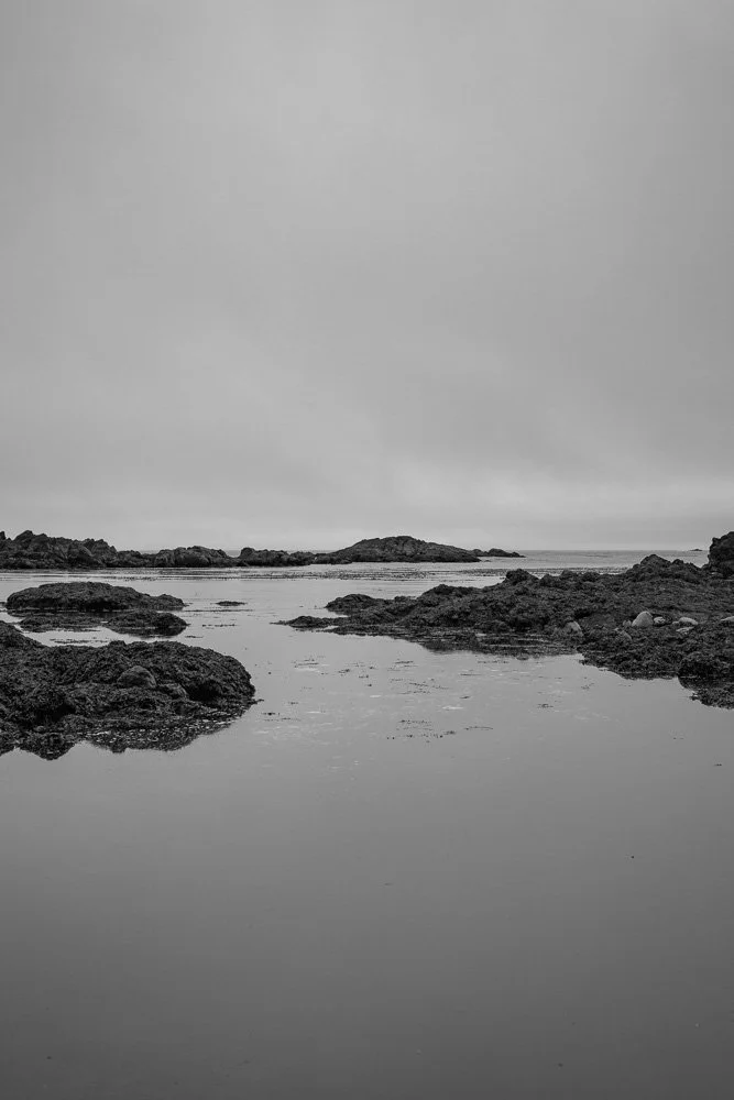 BREEZE CANADA BC STANISLAS LEDOUX 2026 PHOTOGRAPHIE NOIR ET BLANC
