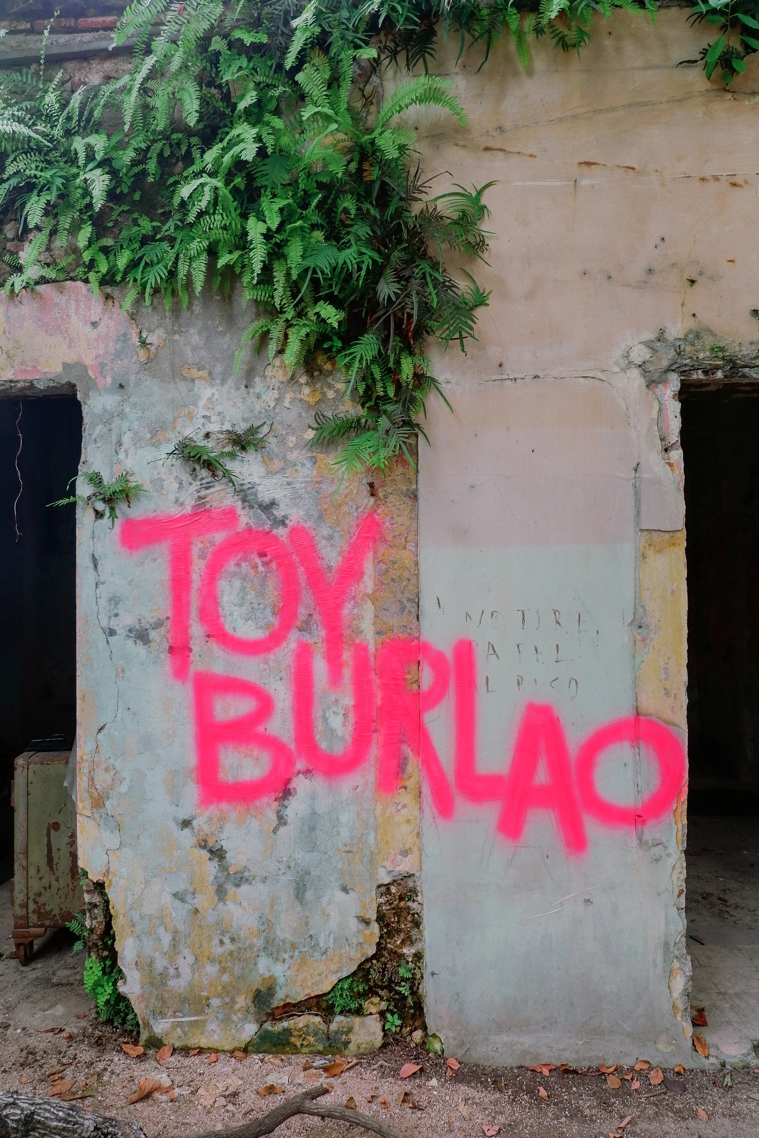 TOYBURLAO-51.jpg