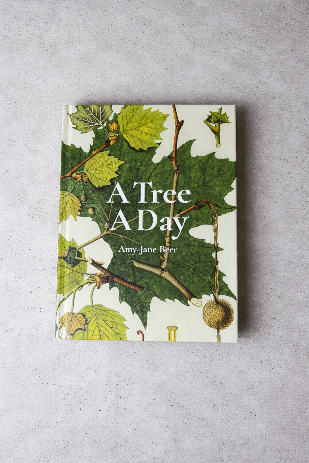 A Tree A Day