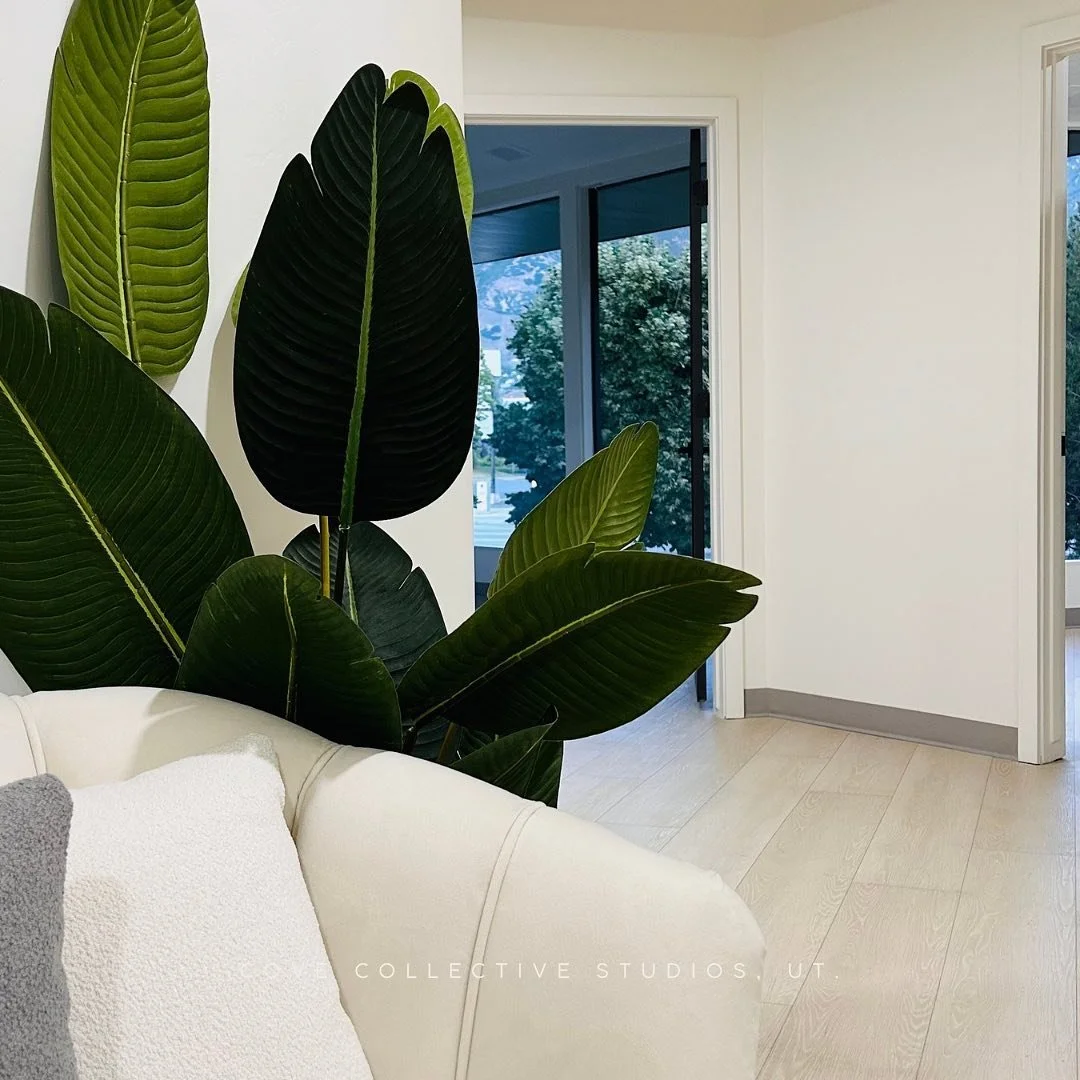 Interior with large green plant, white sofa, pillows, and large windows.