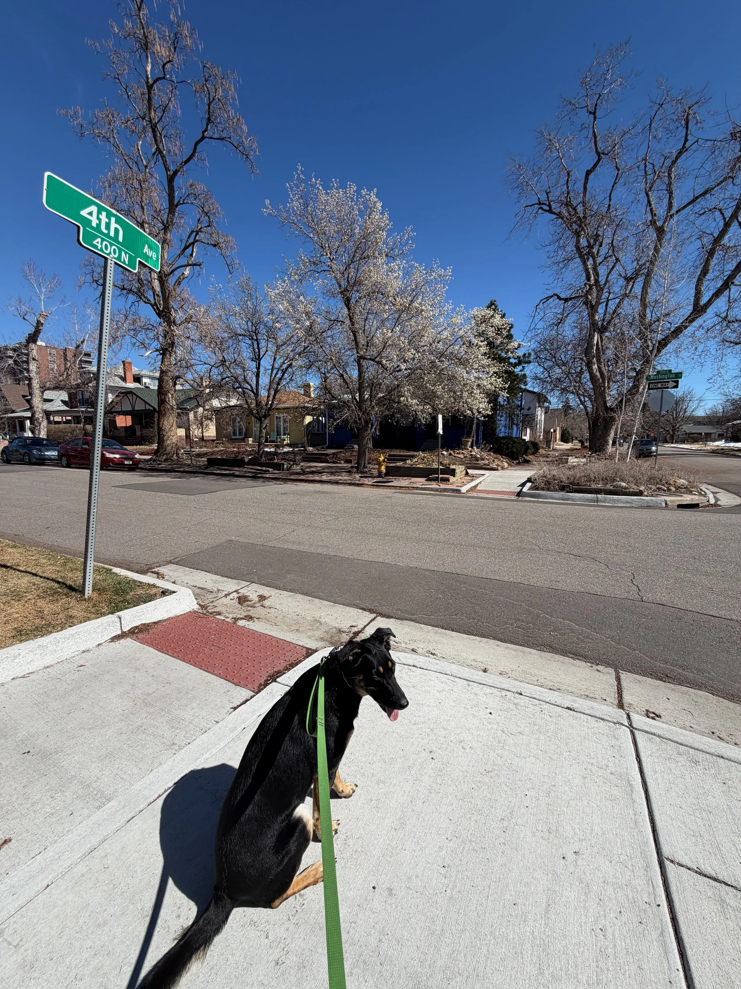 Spring Fatigue Is Real: Why You Feel Exhausted, Irritable, and Tight Every Spring (A TCM Perspective)