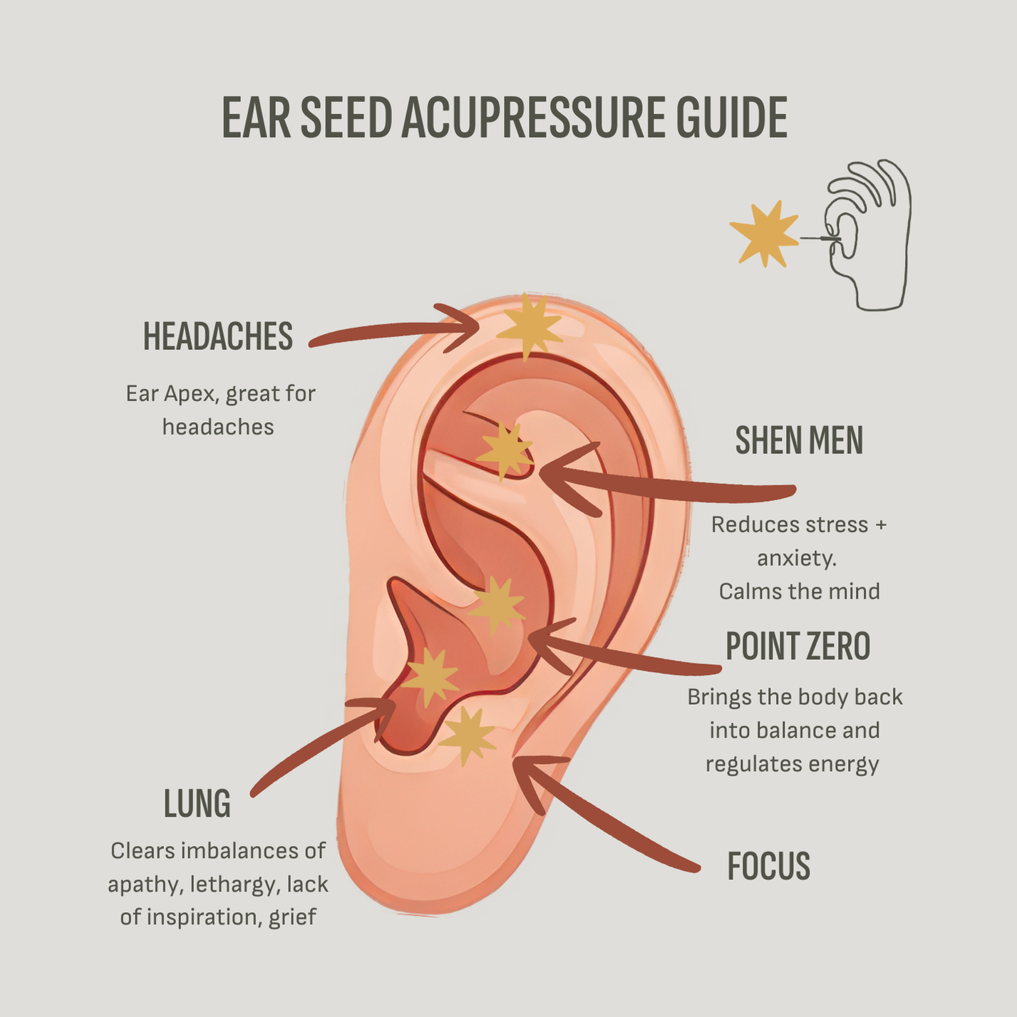 An image that shows some important ear seed acupressure points