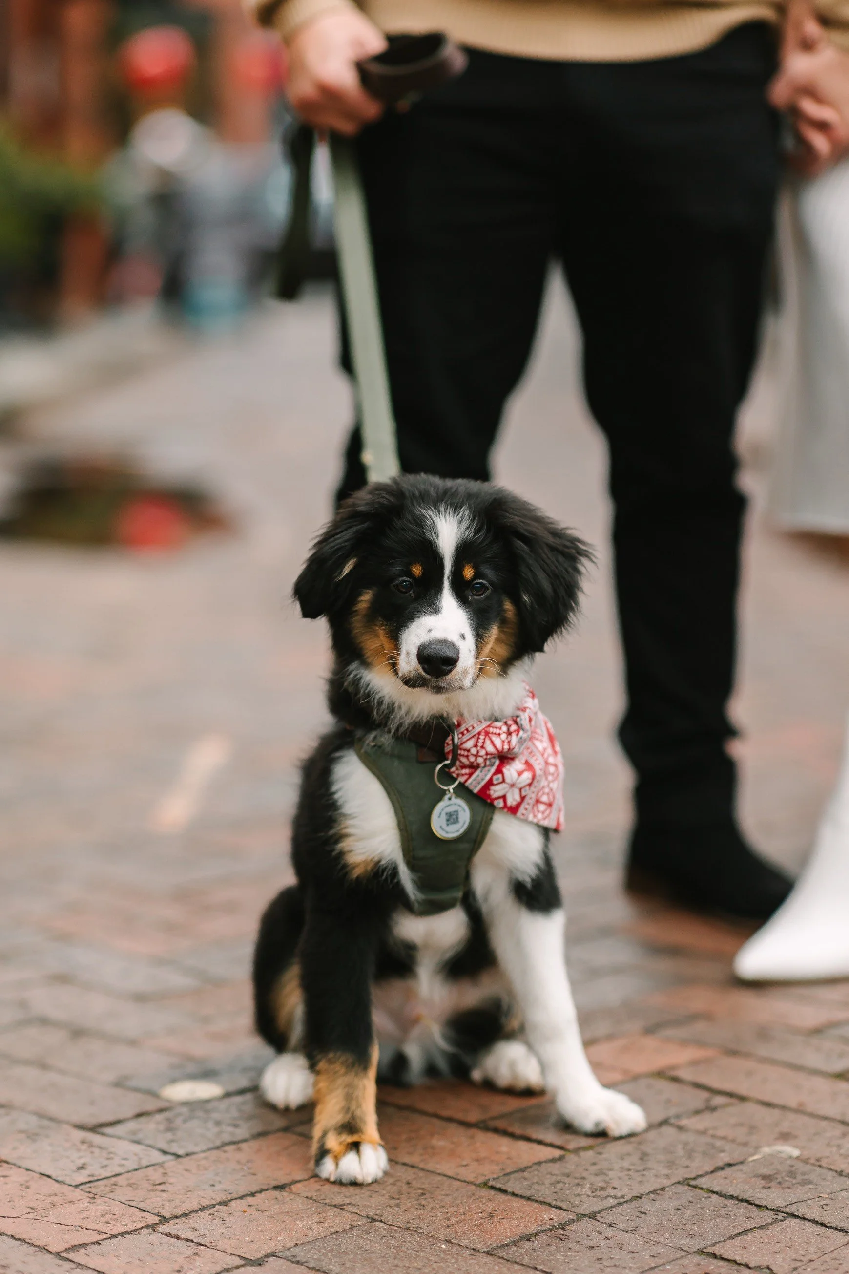 thumbnail__P1_9937.jpg