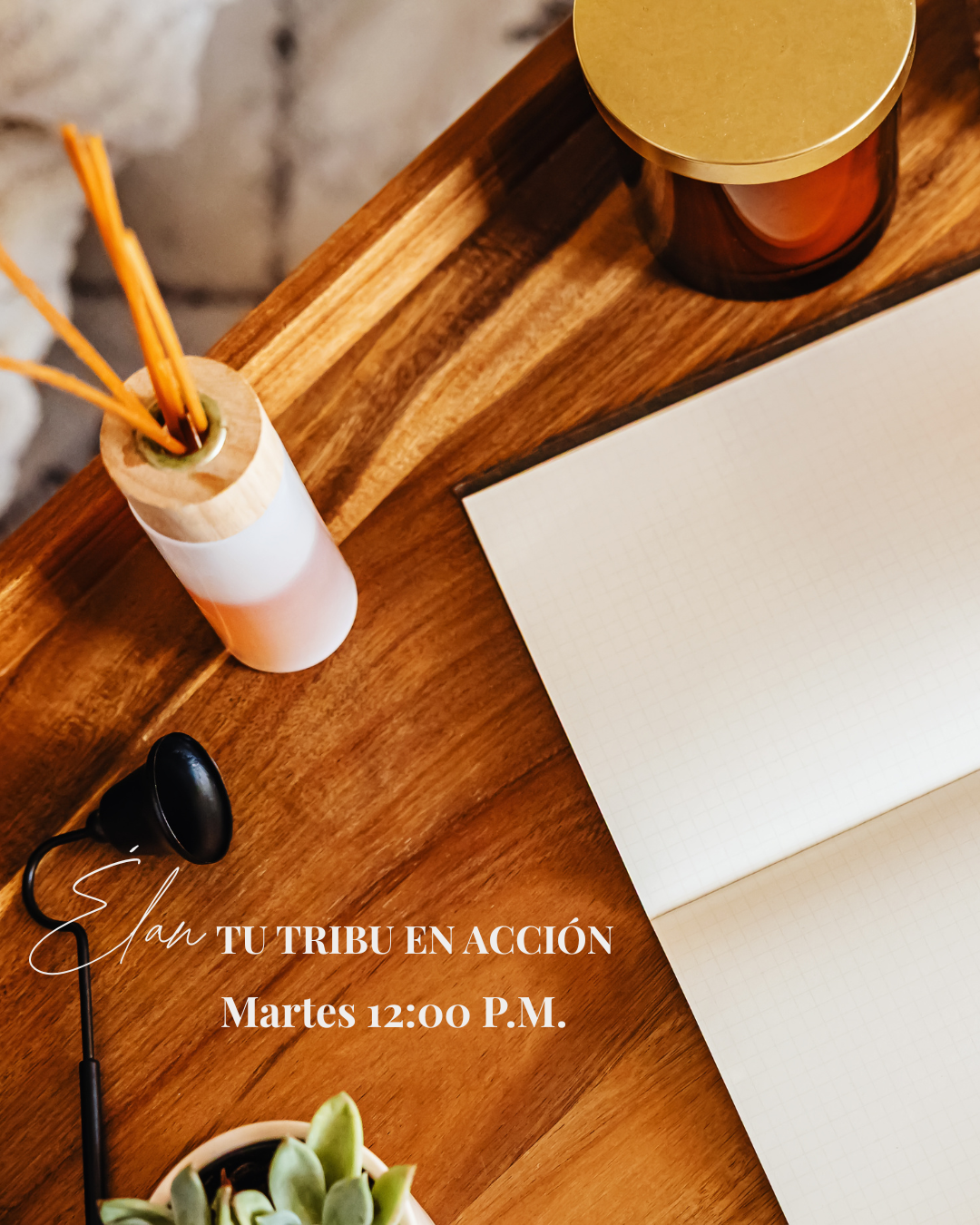 Martes 12:00 pm EST