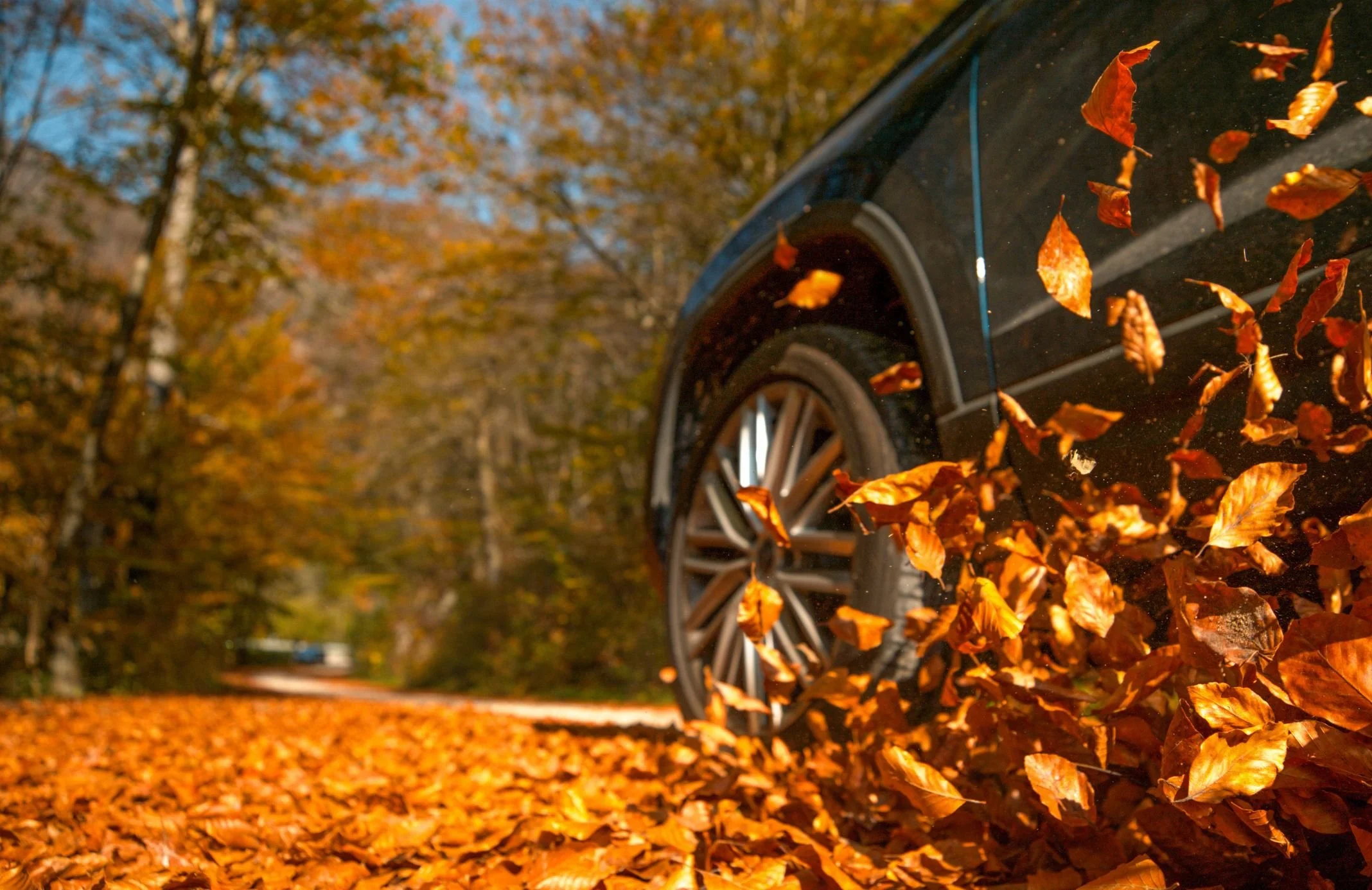 Save on Your Auto Loan