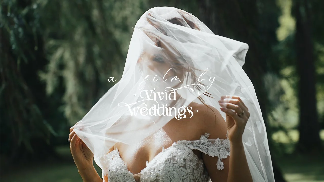 Elegant wedding dress